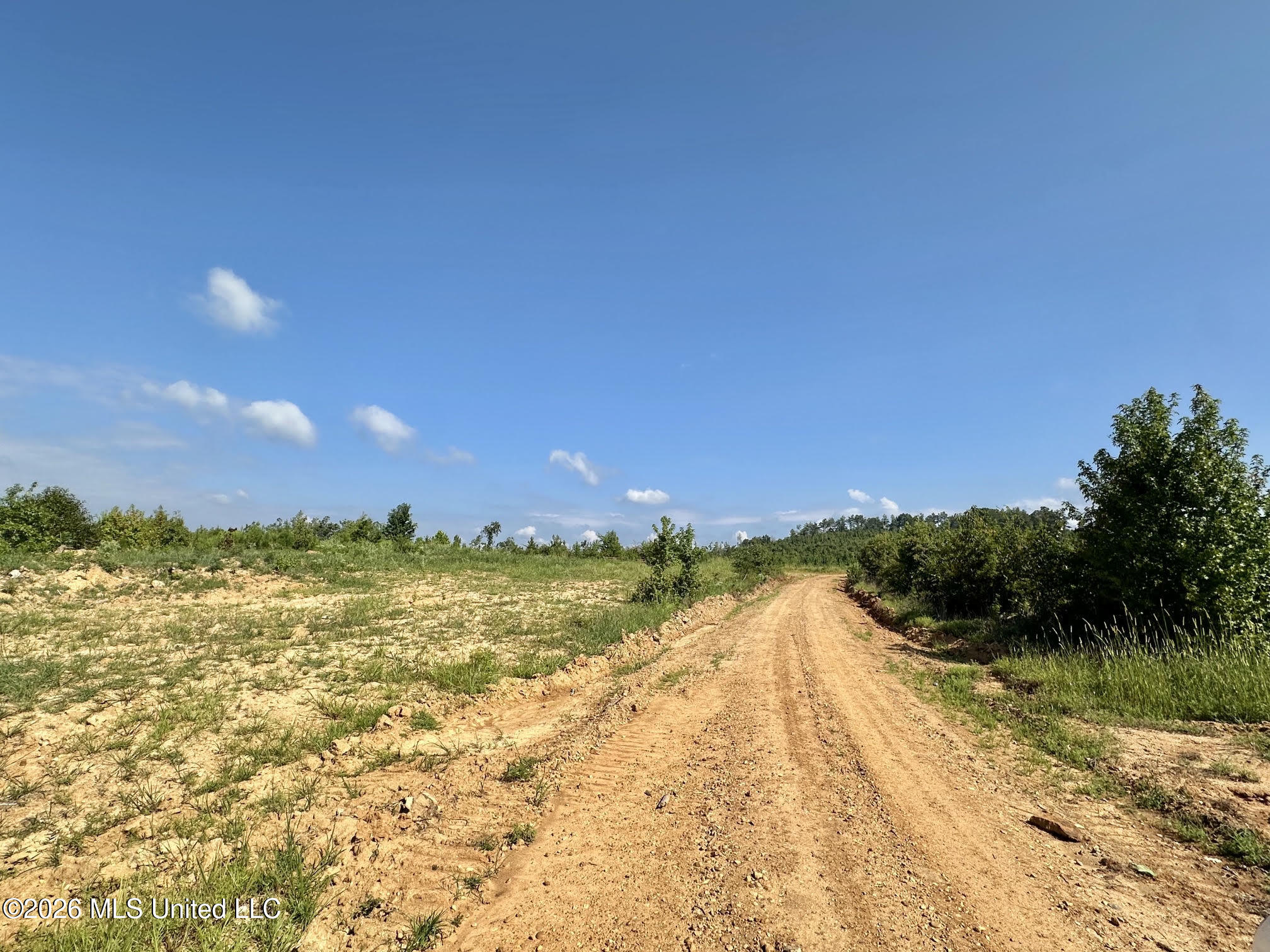 5 Will Womack Property Photo 1