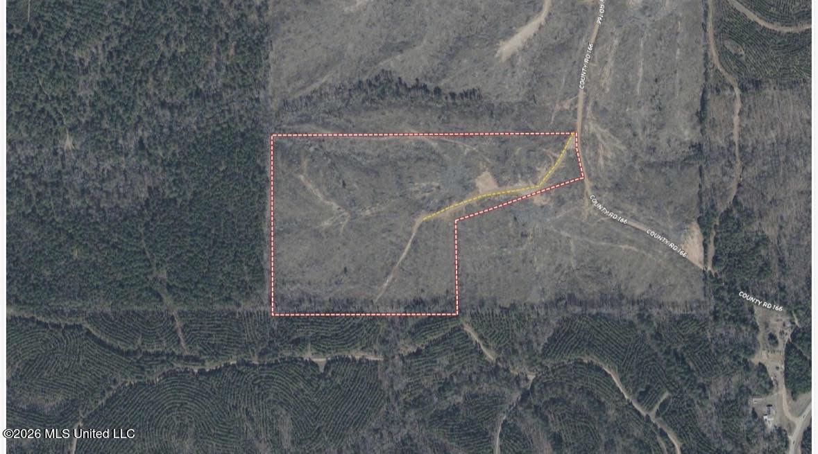 5 Will Womack Property Photo 9