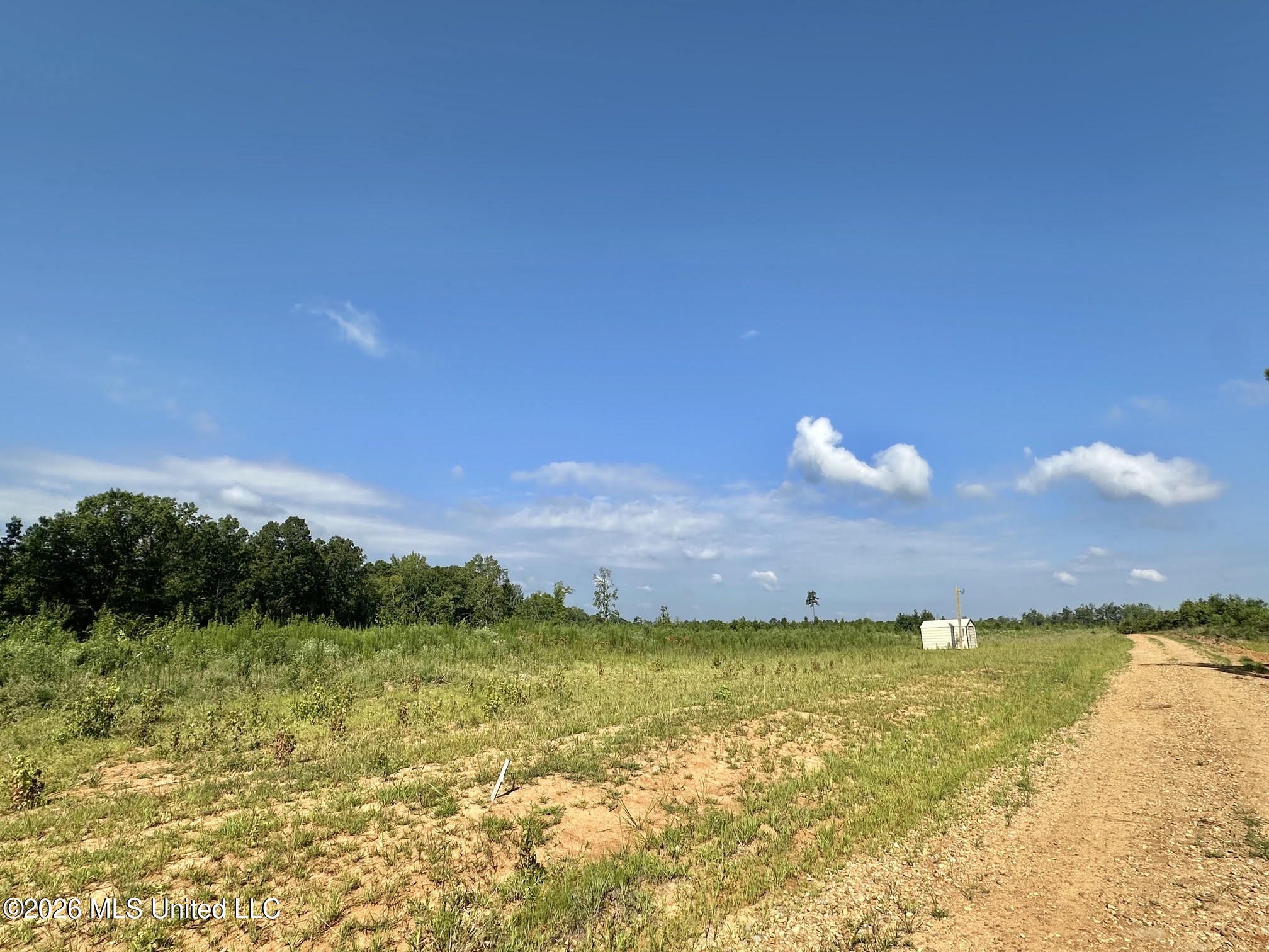 6 Will Womack Property Photo 1