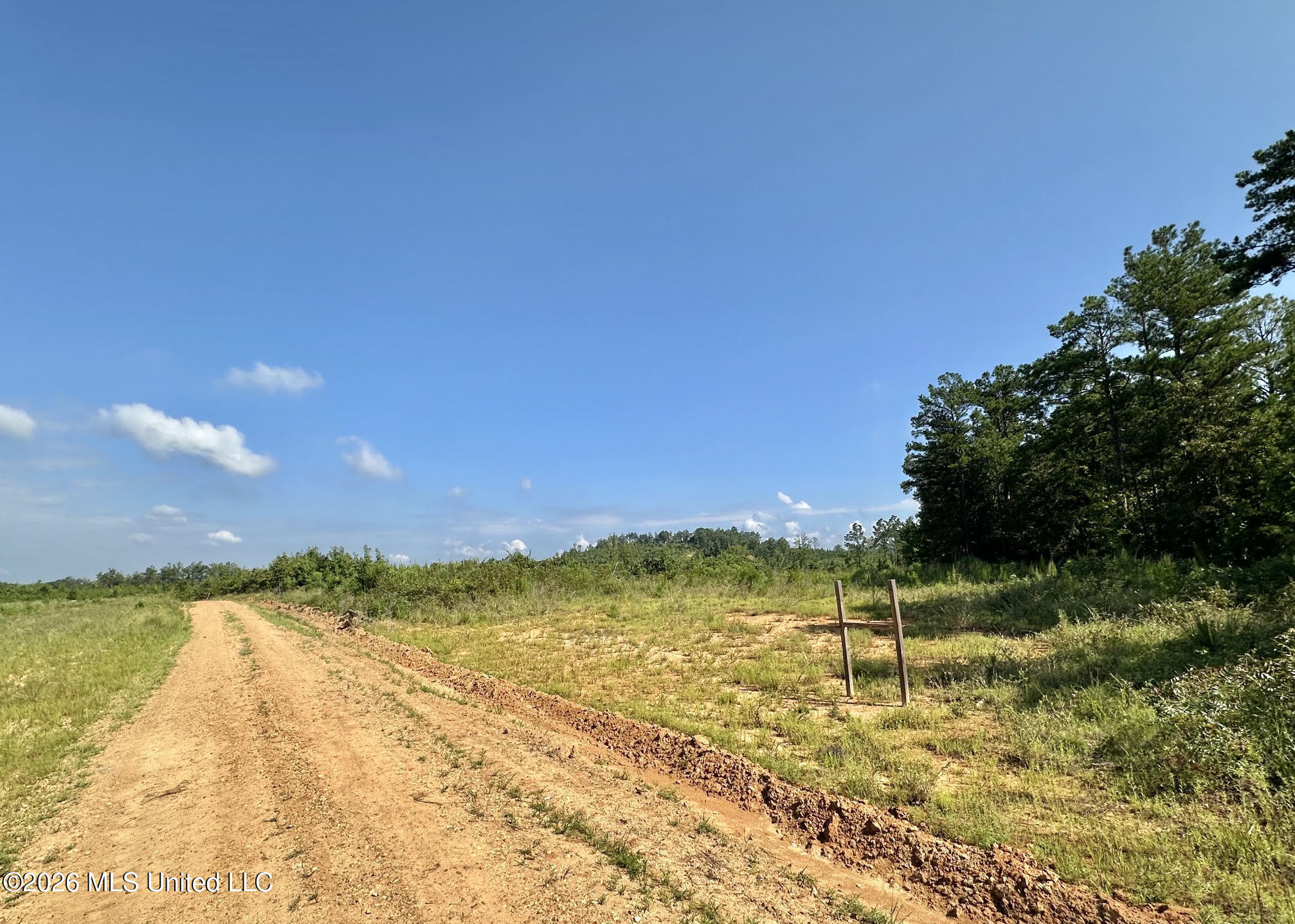 6 Will Womack Property Photo 2