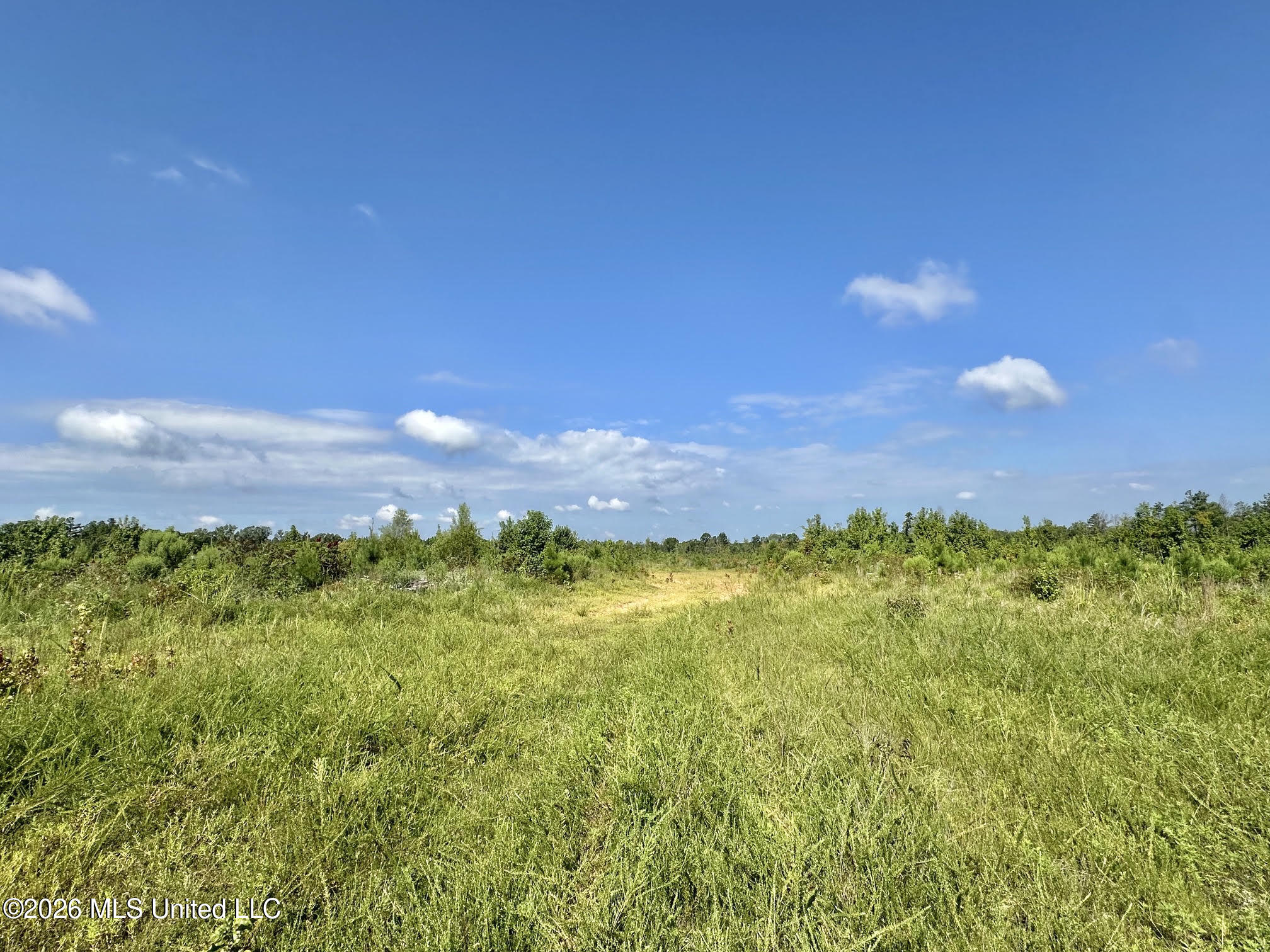 6 Will Womack Property Photo 5