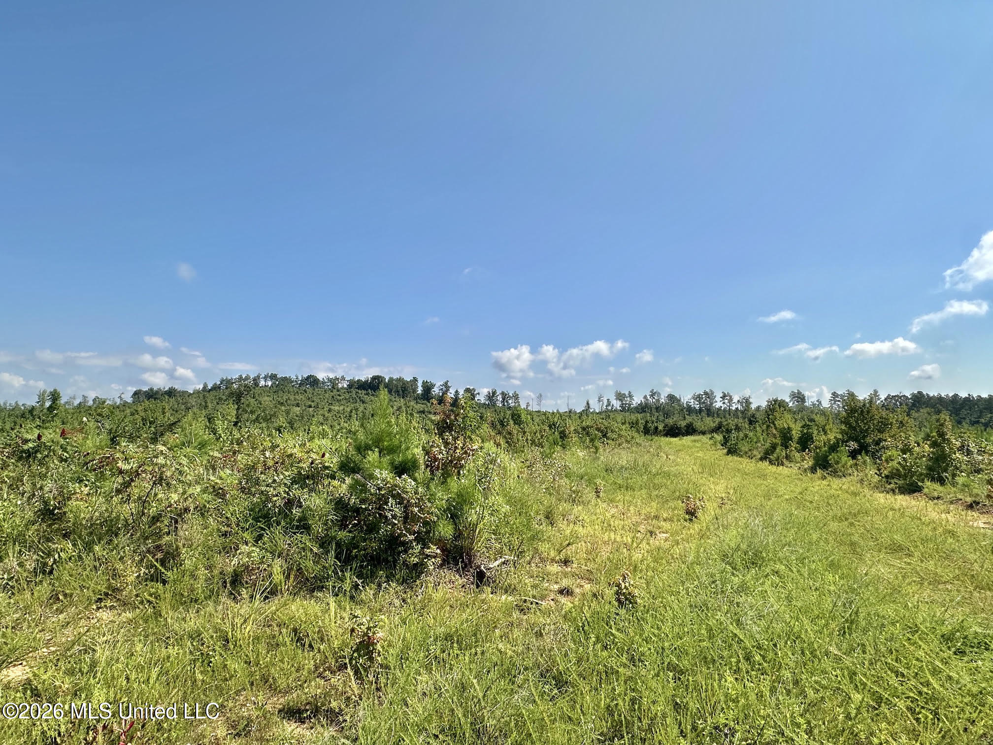 6 Will Womack Property Photo 6