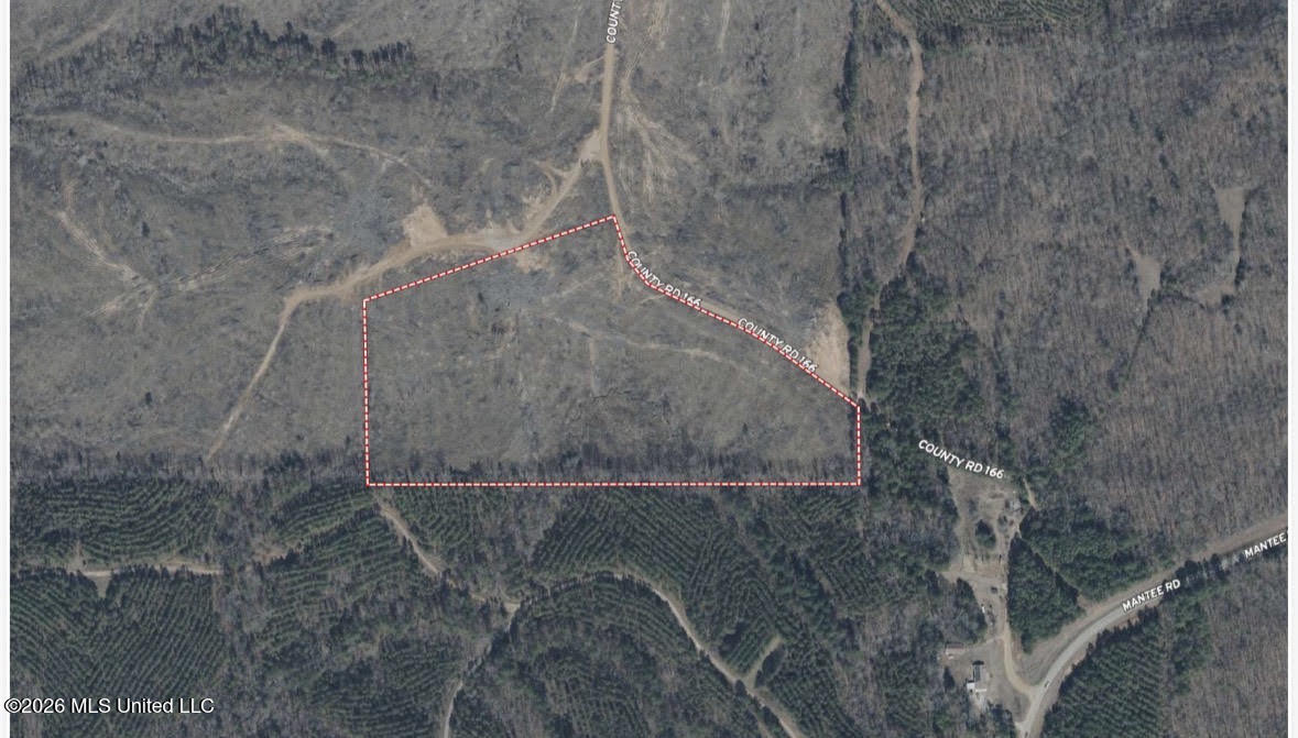6 Will Womack Property Photo 9