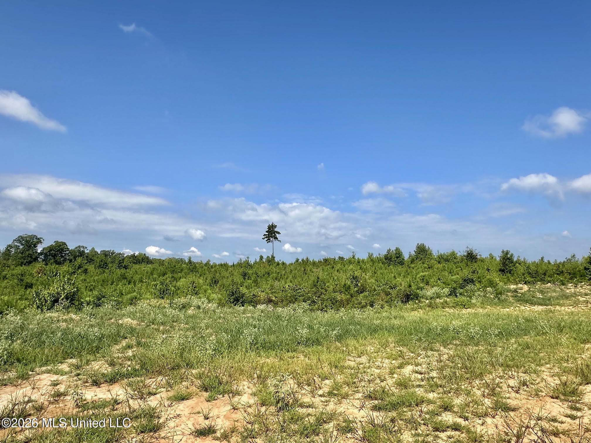 7 Will Womack Property Photo 1