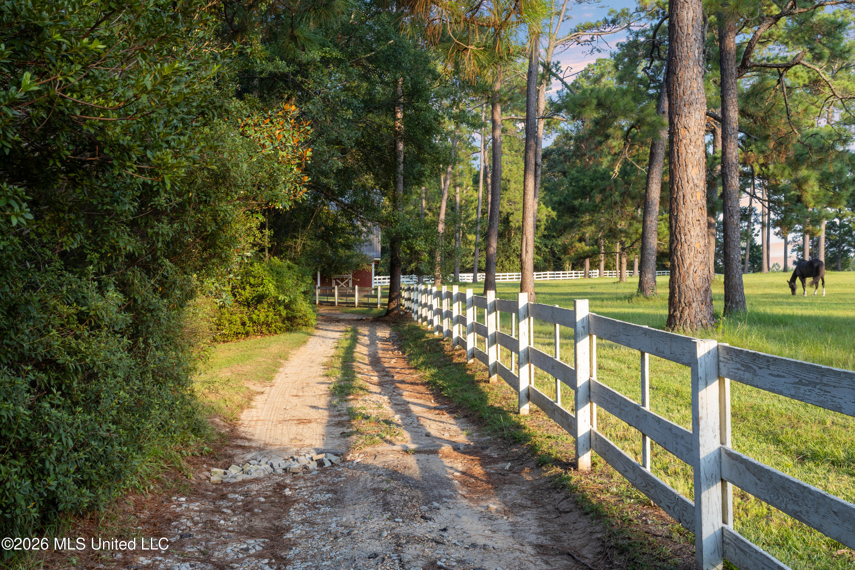 1223 W Wire Road Property Photo 104