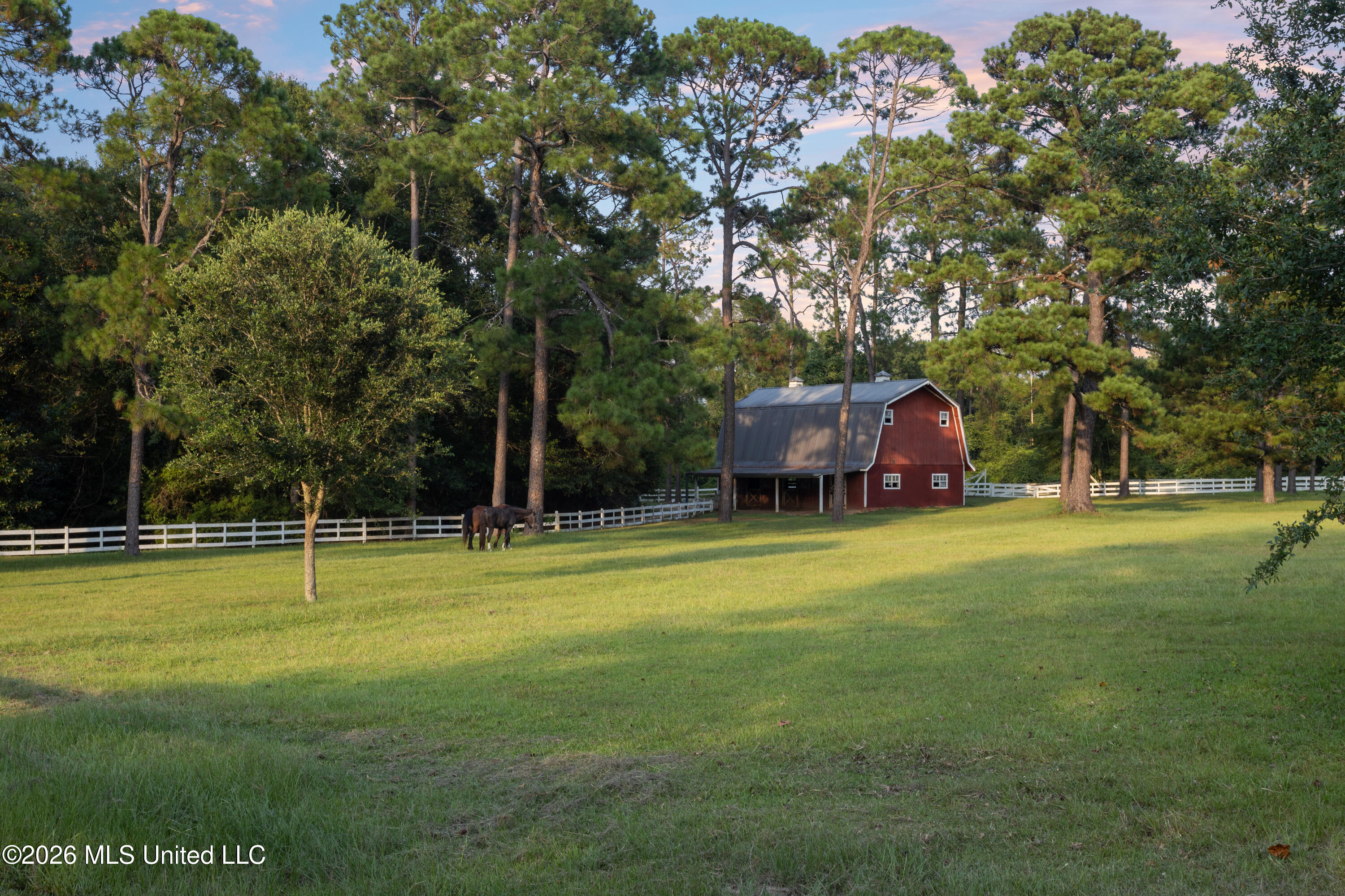 1223 W Wire Road Property Photo 105