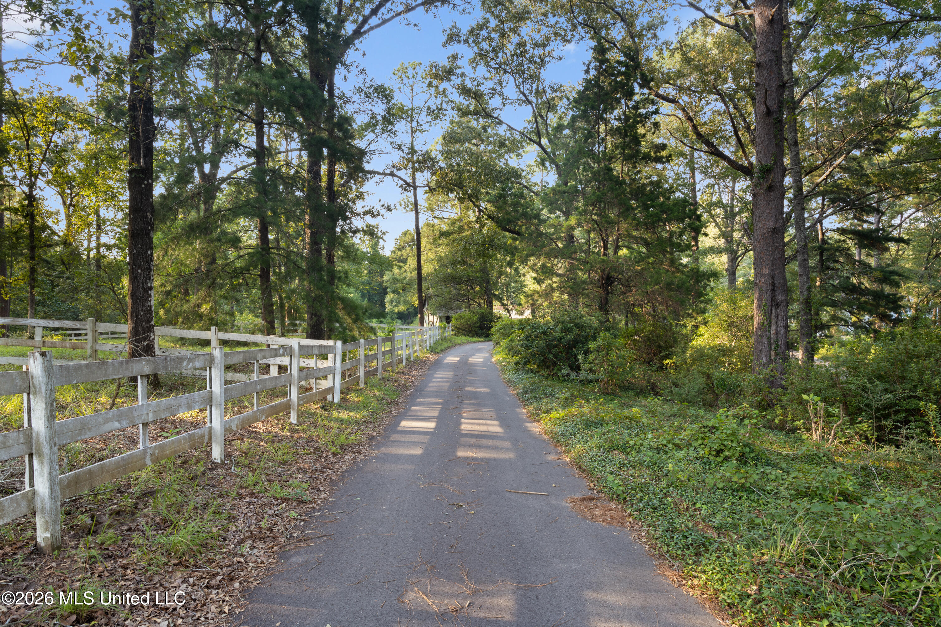 1223 W Wire Road Property Photo 115