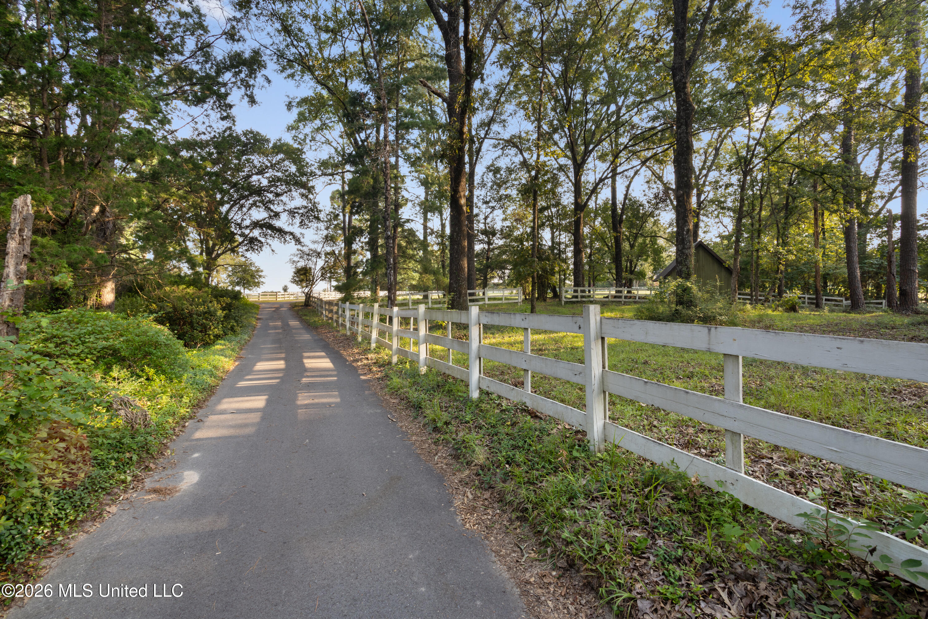 1223 W Wire Road Property Photo 116