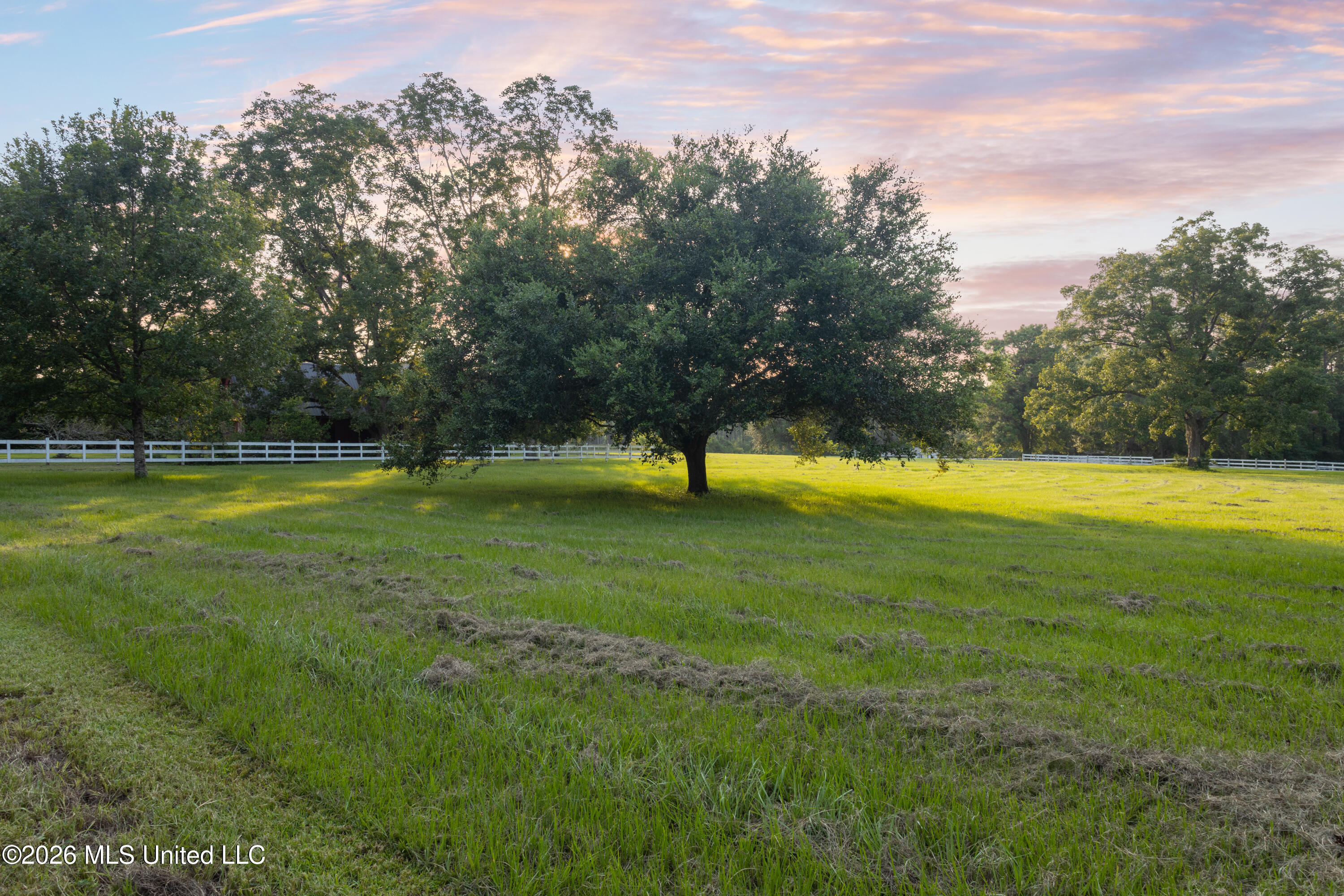 1223 W Wire Road Property Photo 152