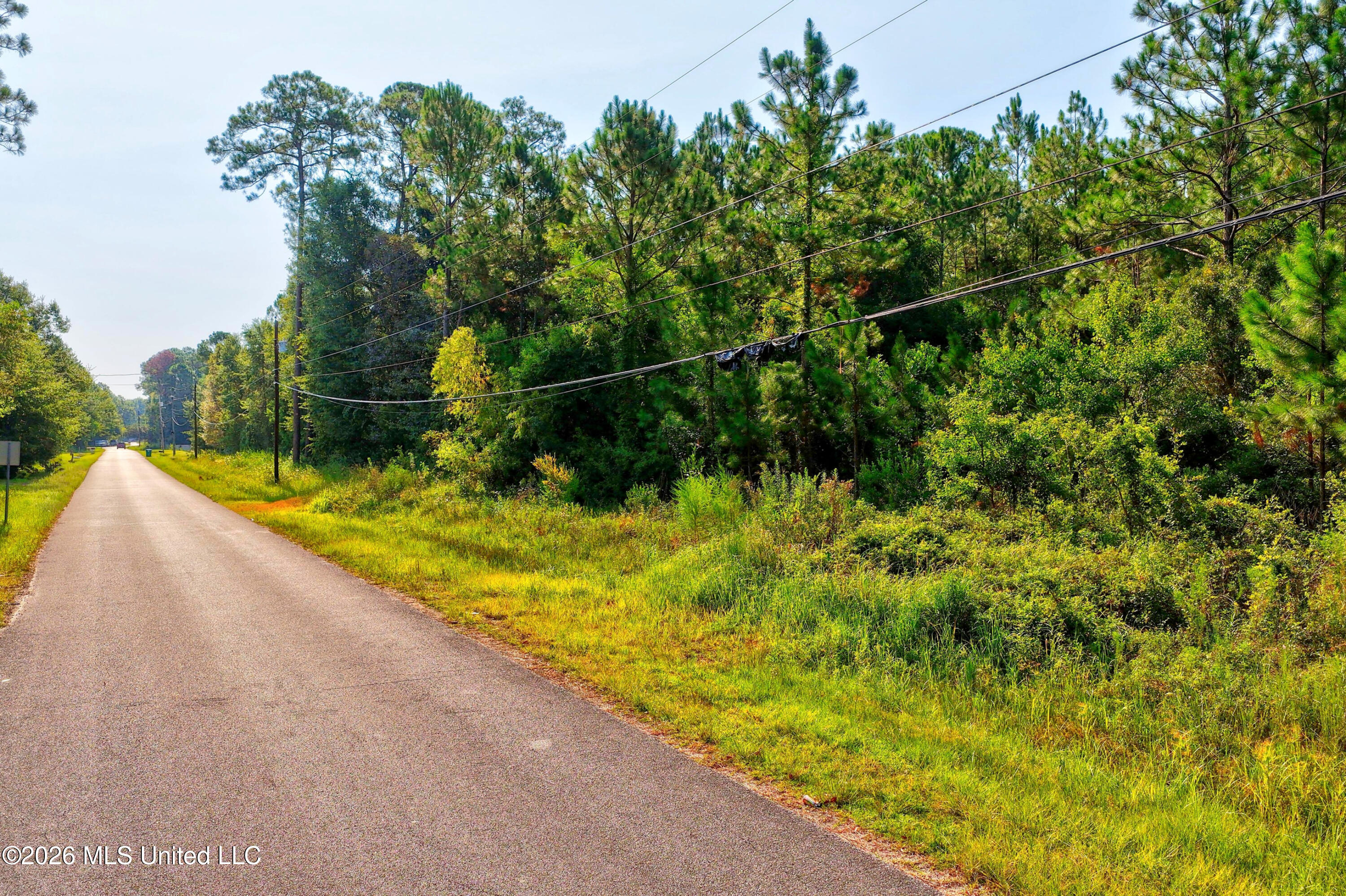 1715 Laurel Glen Road Property Photo 4