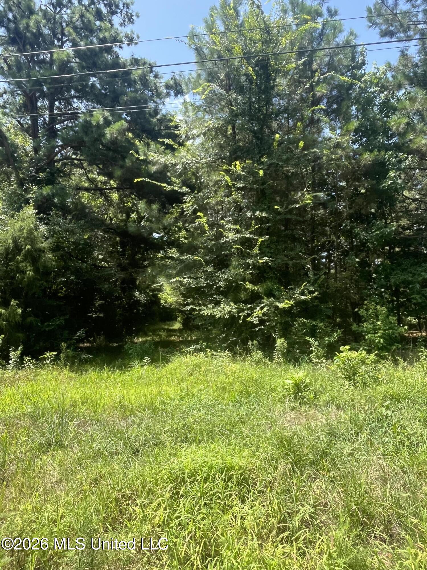 Burton Road Property Photo 3