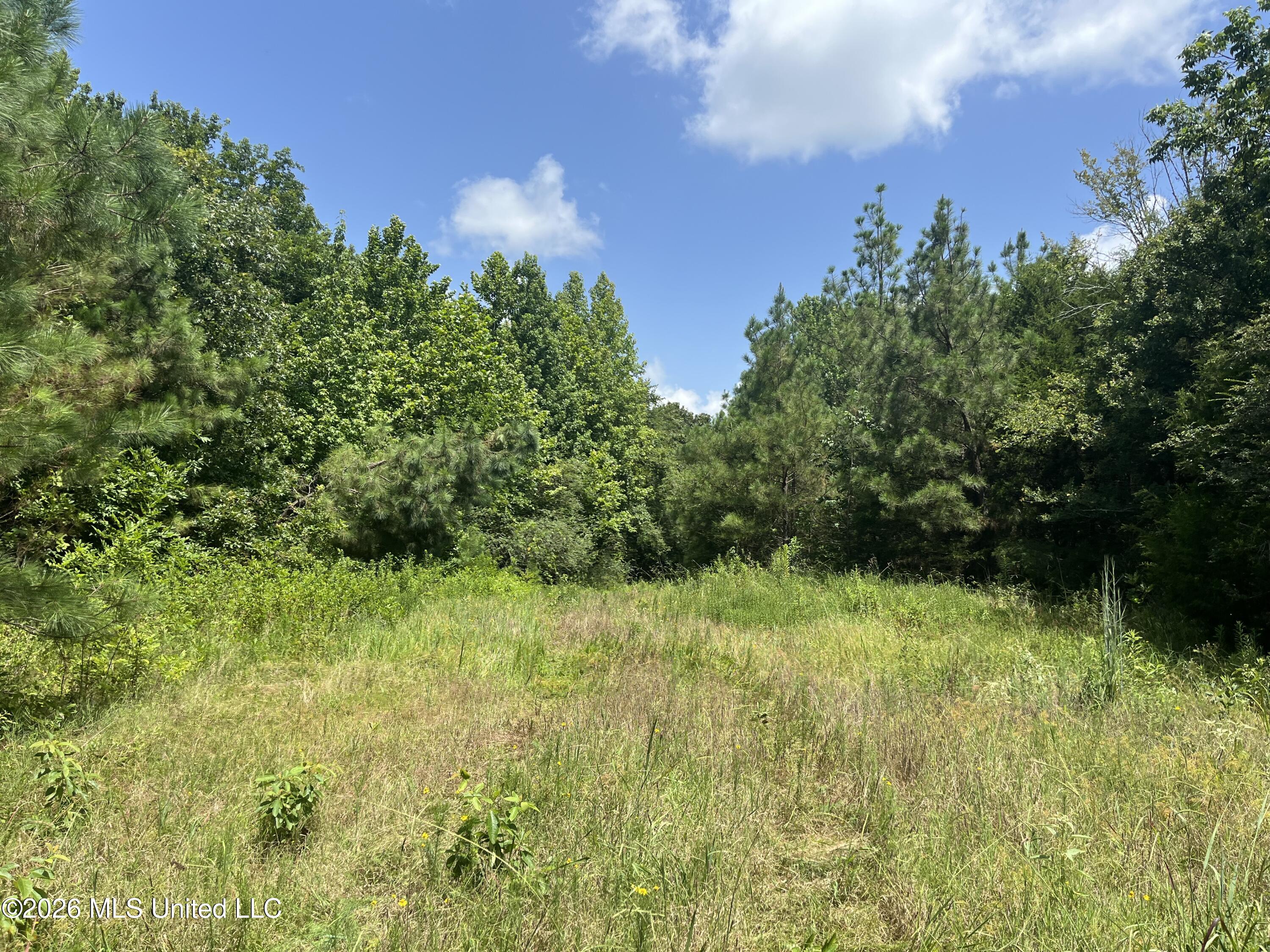 Burton Road Property Photo 4