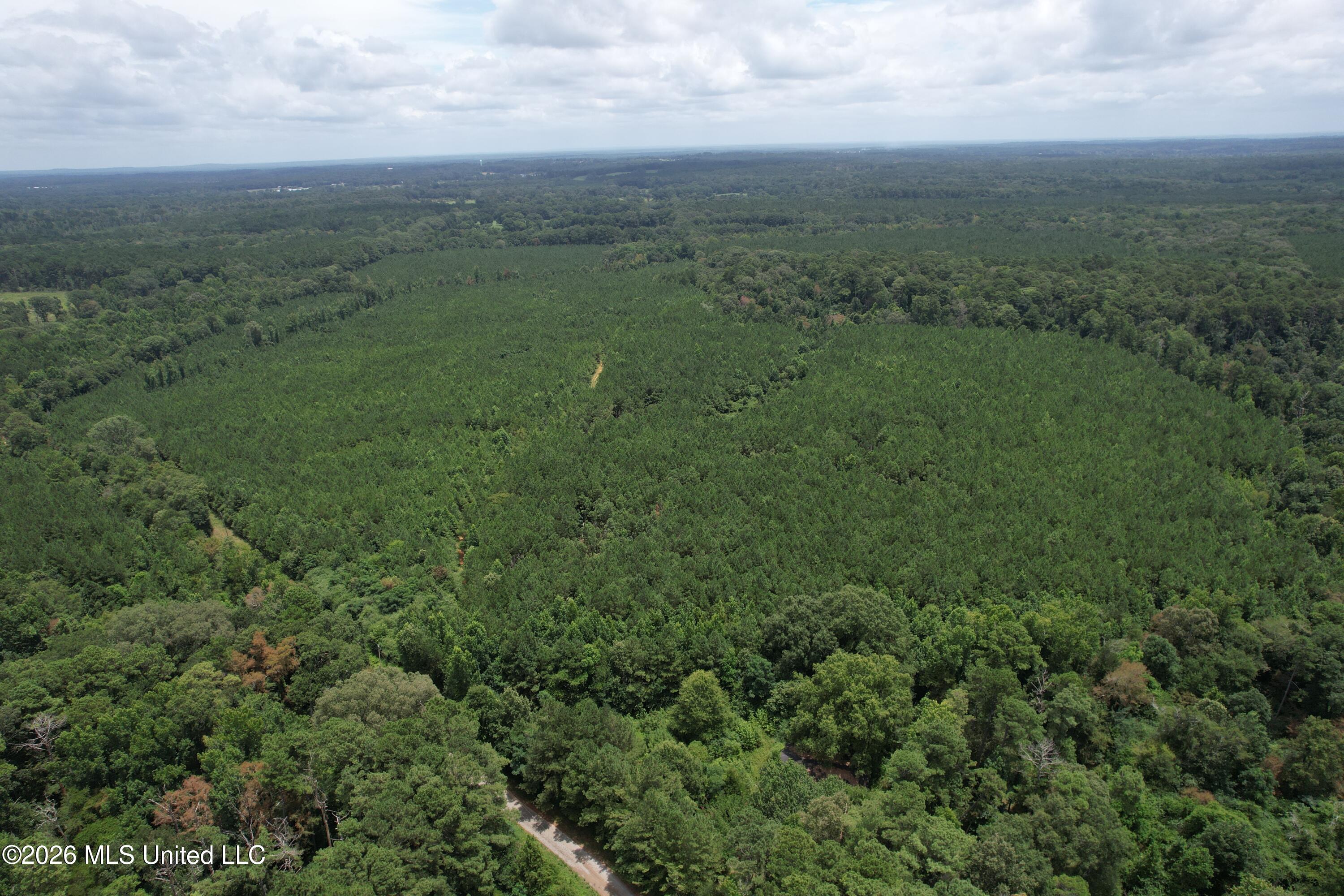 Smith County Road Property Photo 1