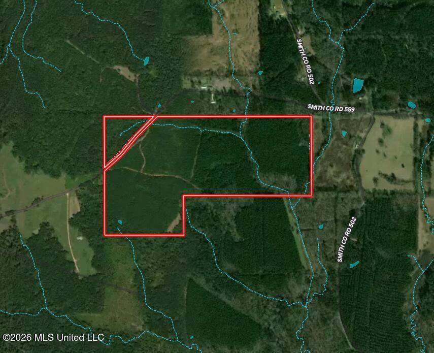 Smith County Road Property Photo 2