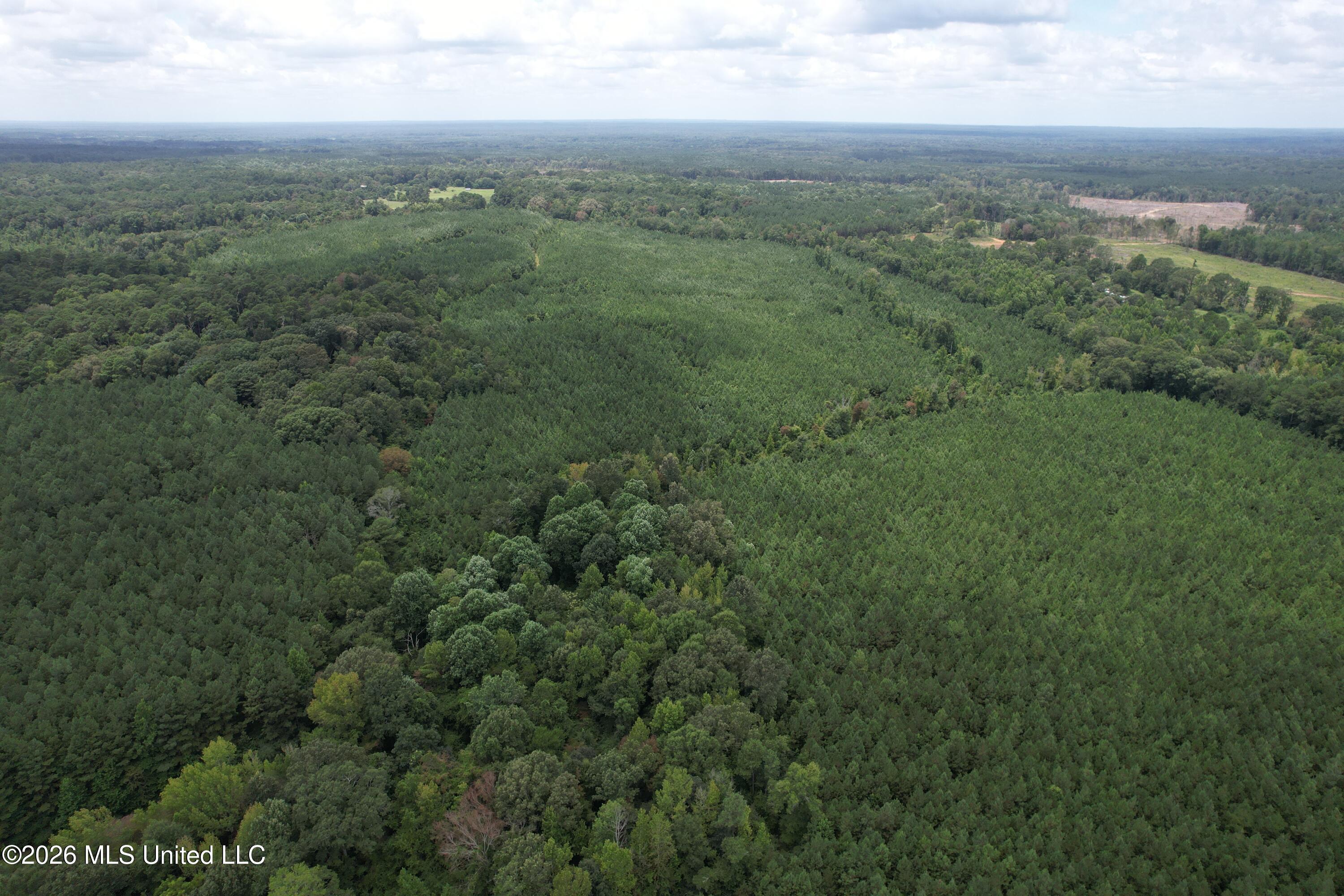 Smith County Road Property Photo 4