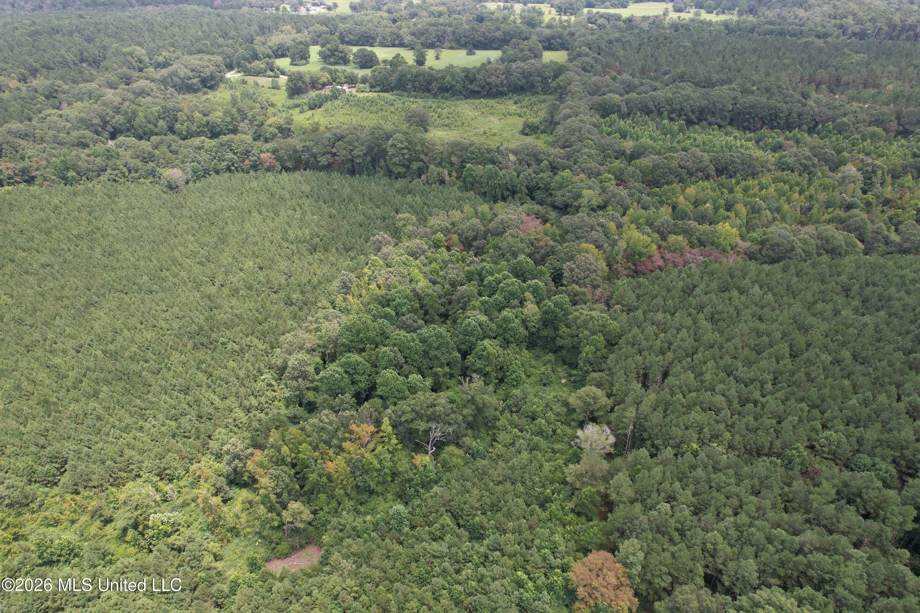 Smith County Road Property Photo 5