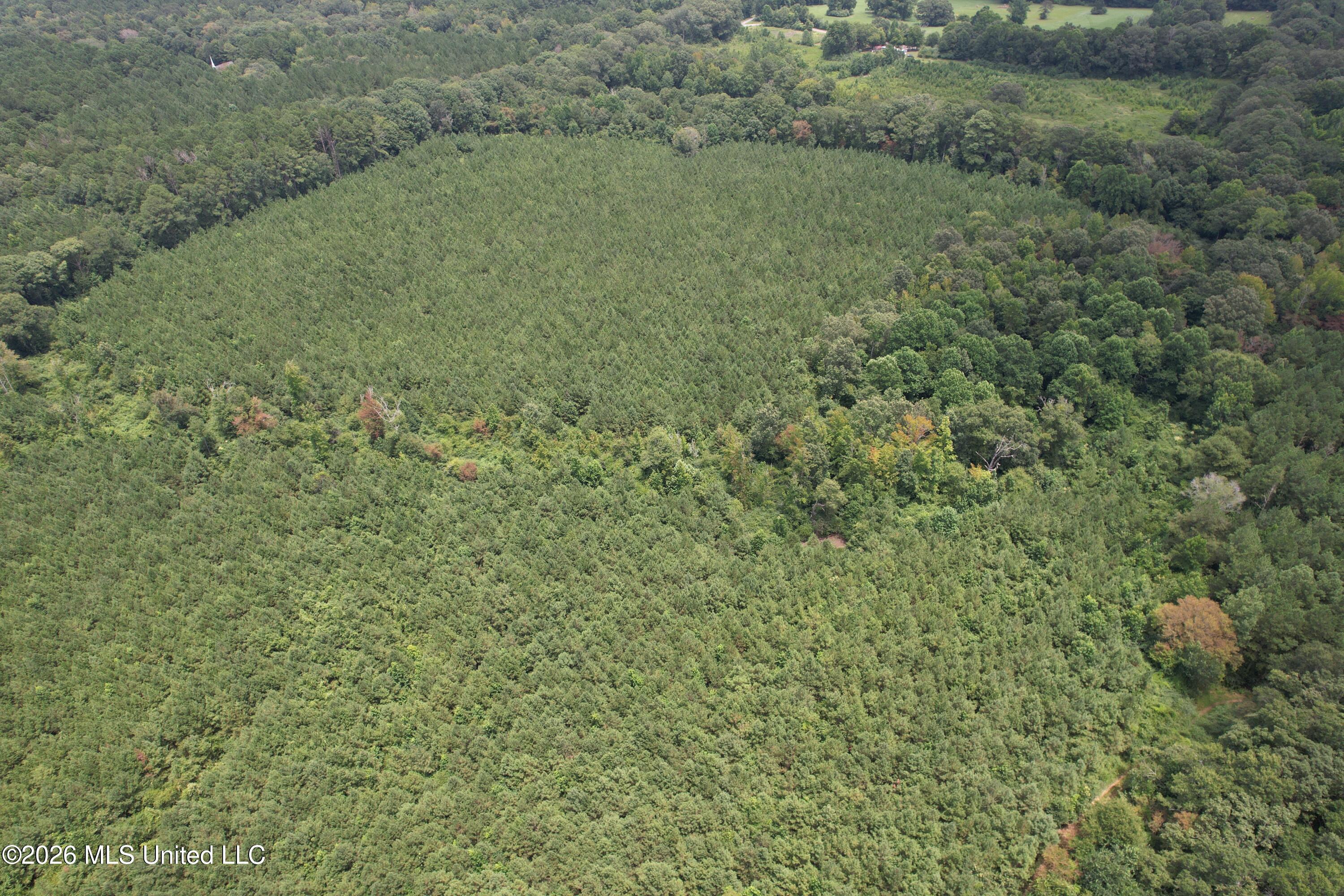 Smith County Road Property Photo 6