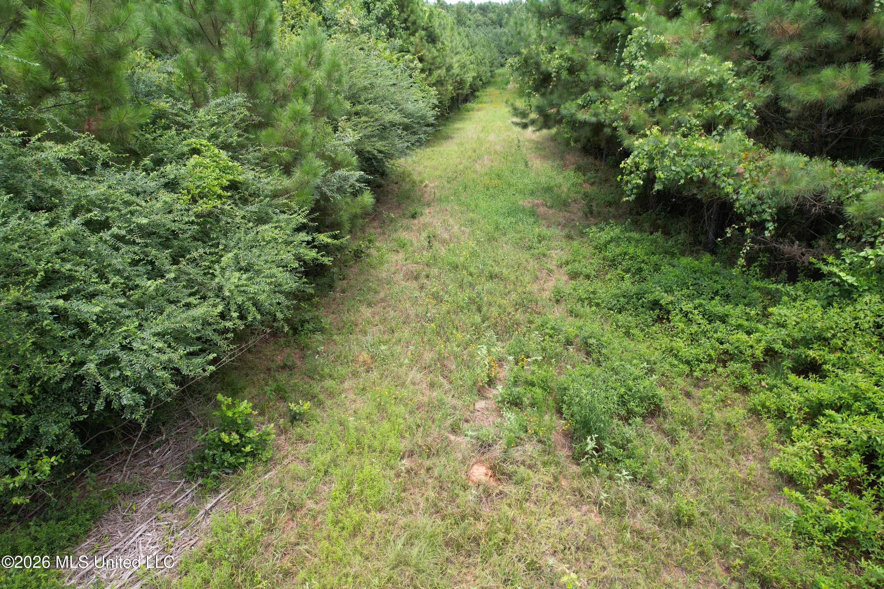 Smith County Road Property Photo 7