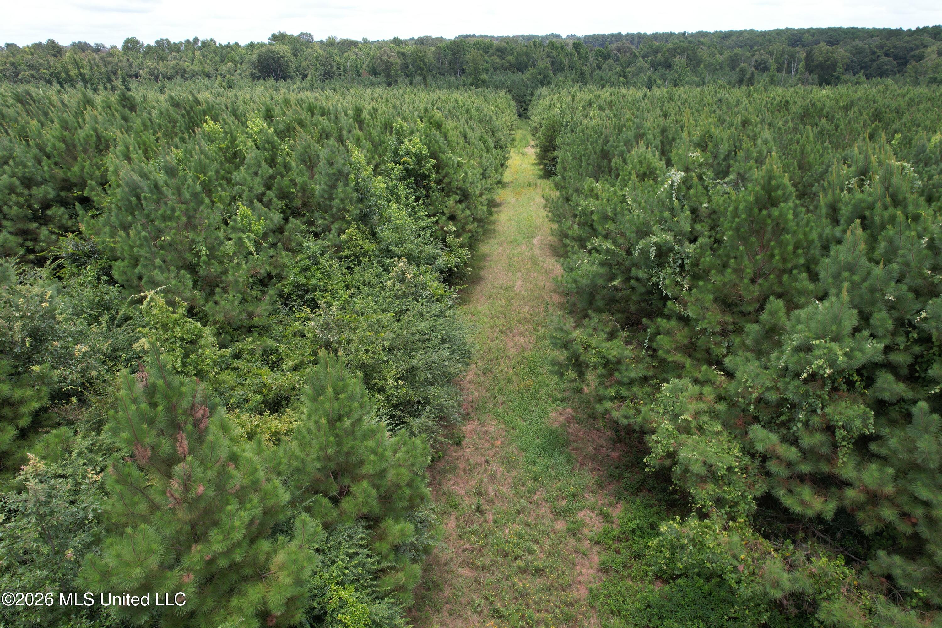 Smith County Road Property Photo 9