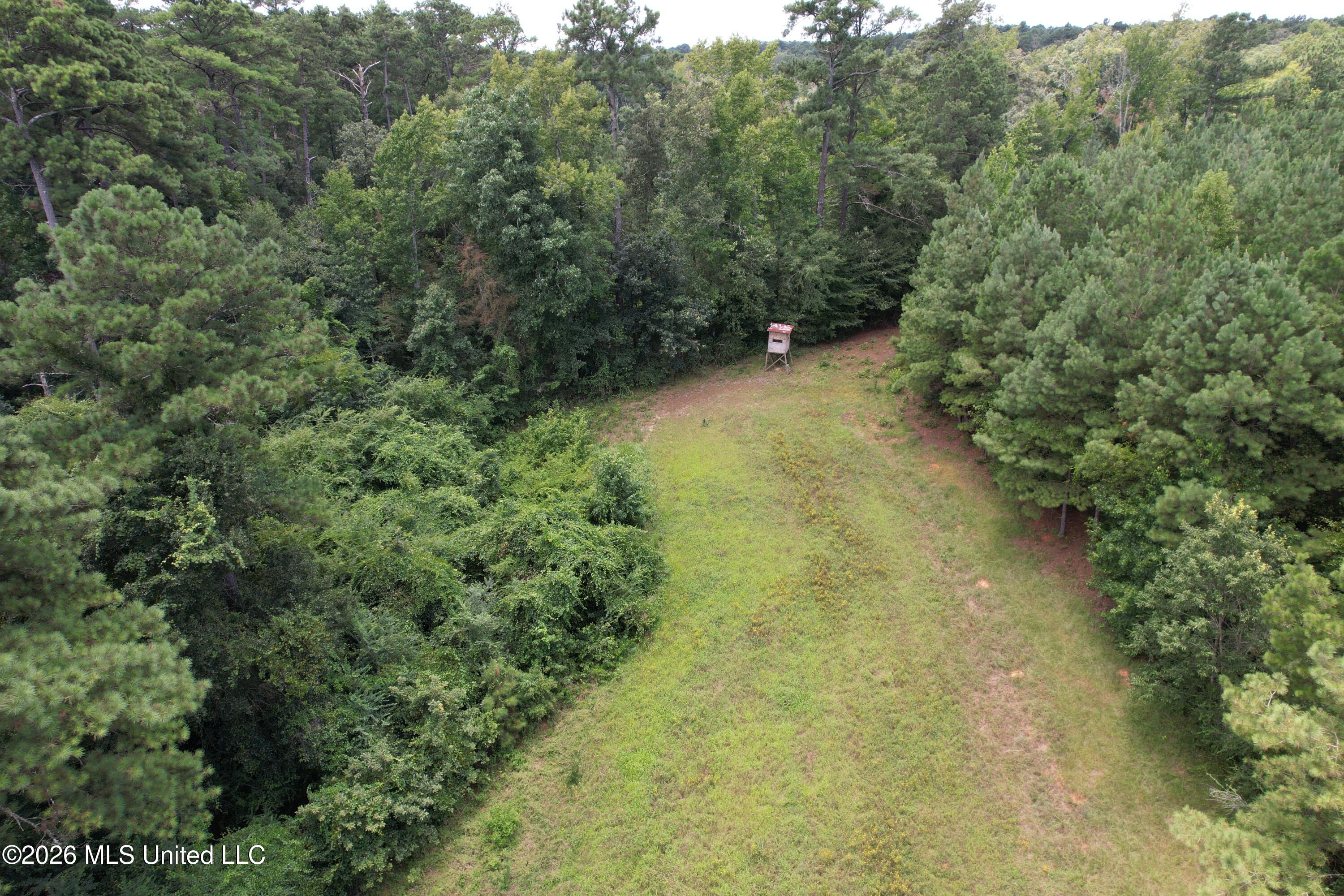 Smith County Road Property Photo 10