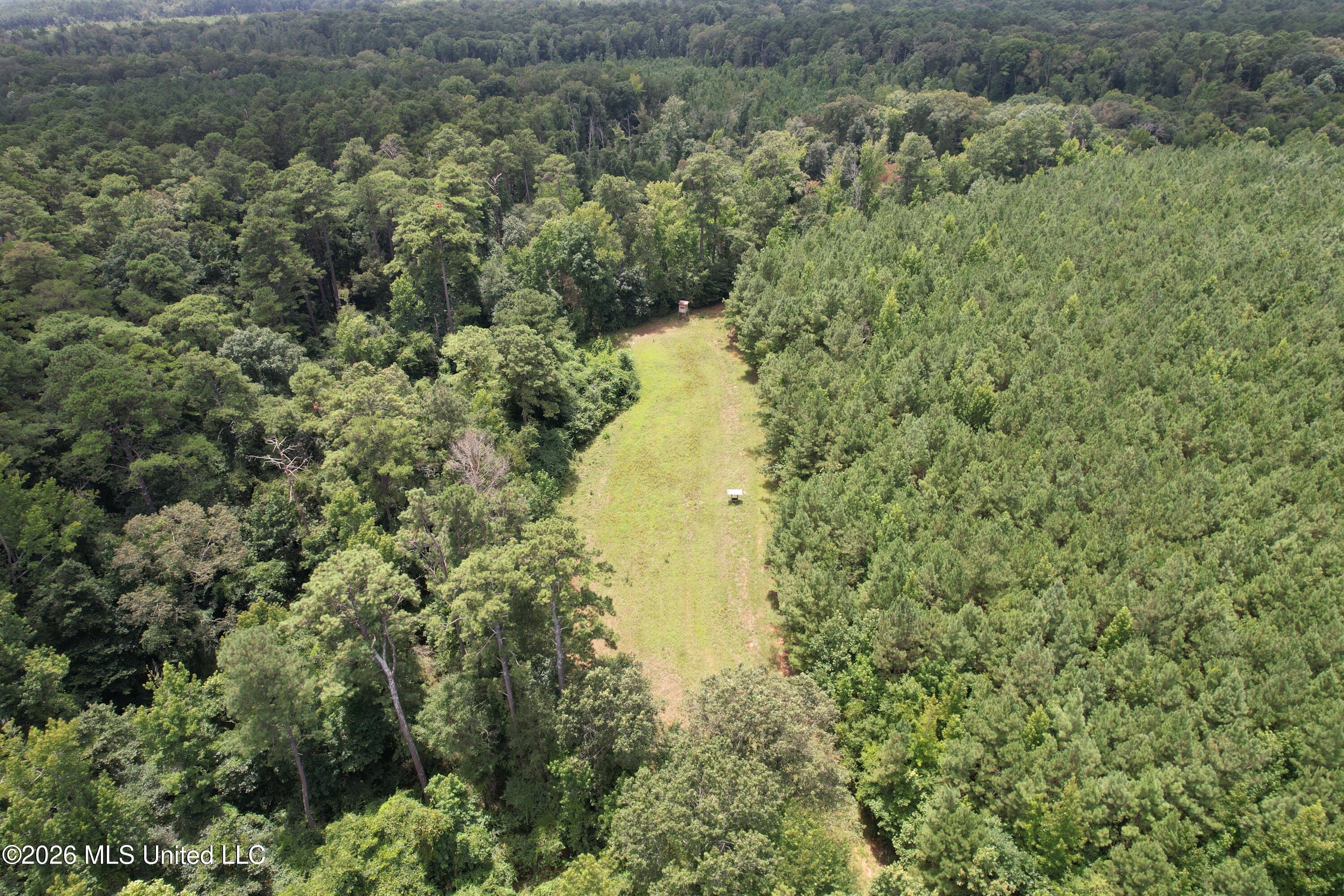 Smith County Road Property Photo 11
