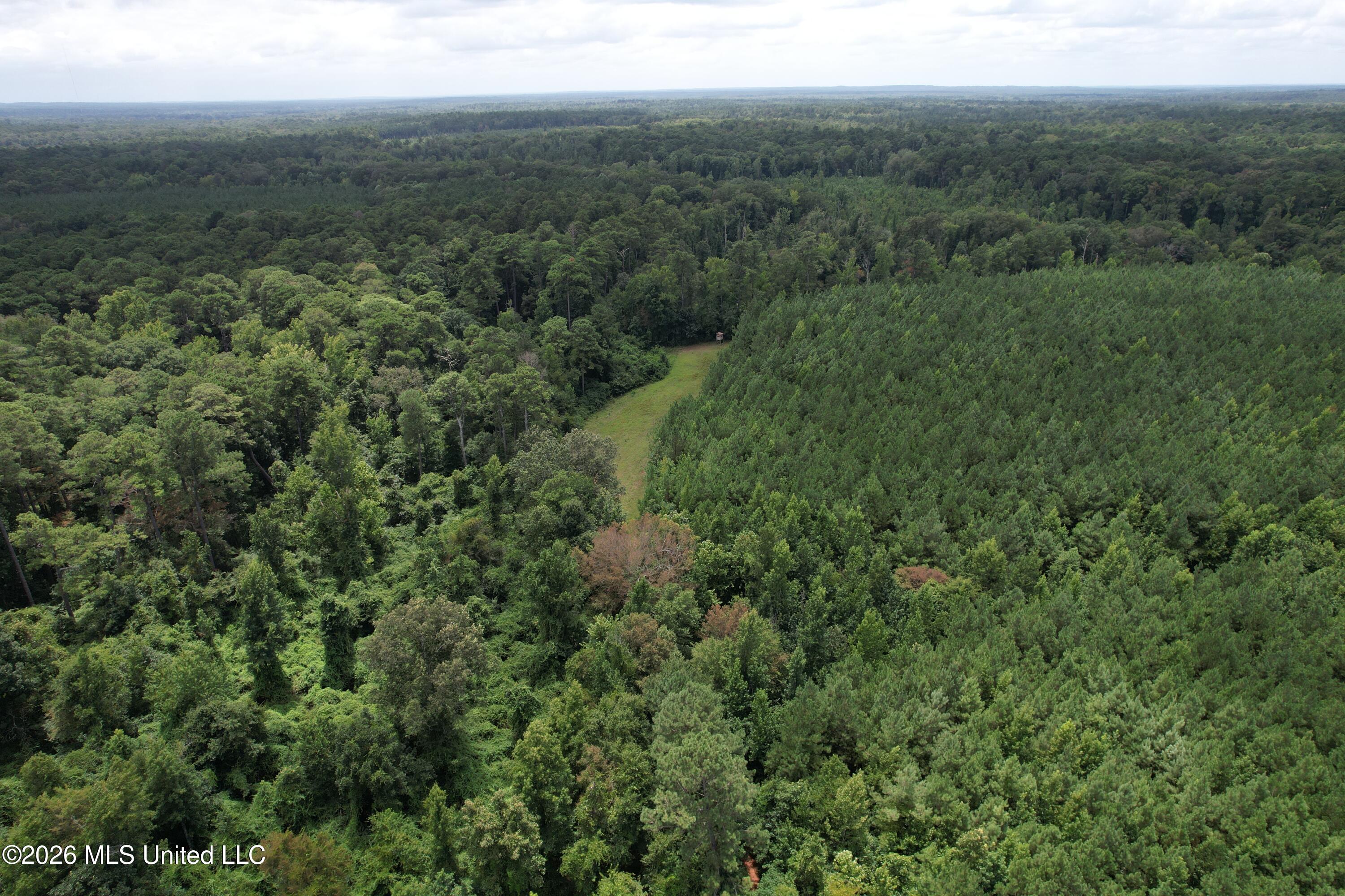 Smith County Road Property Photo 12