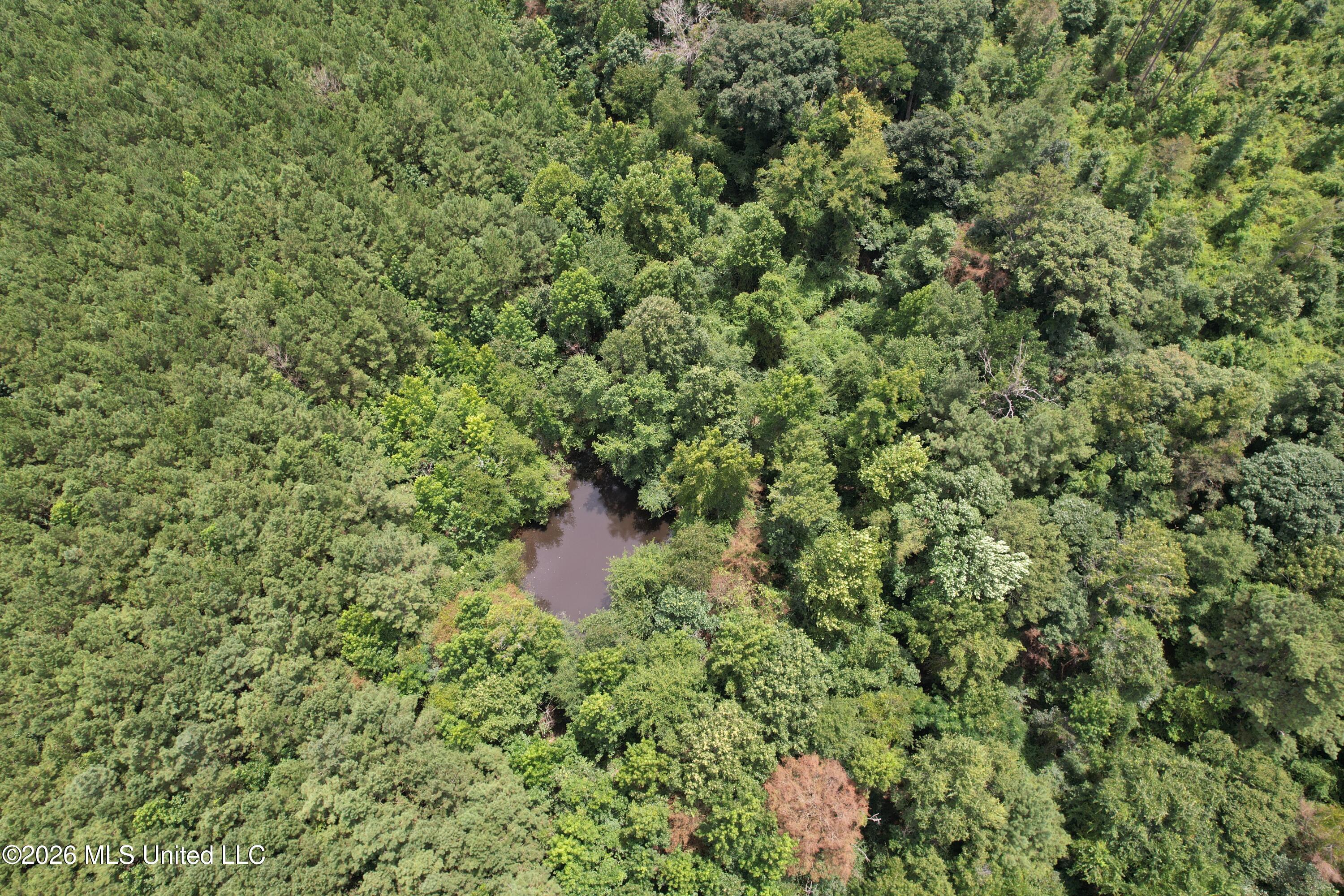 Smith County Road Property Photo 13