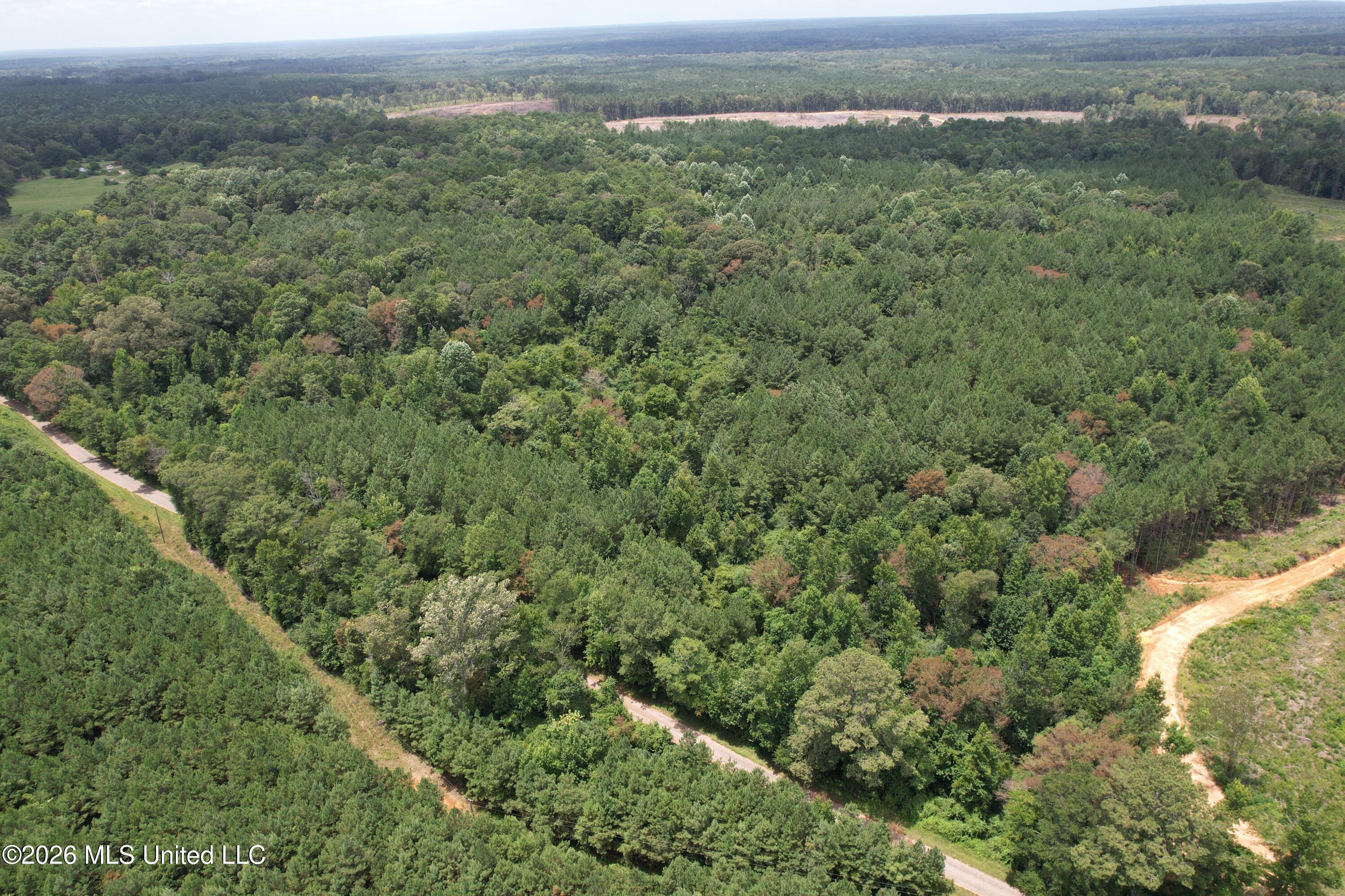 Smith County Road Property Photo 14