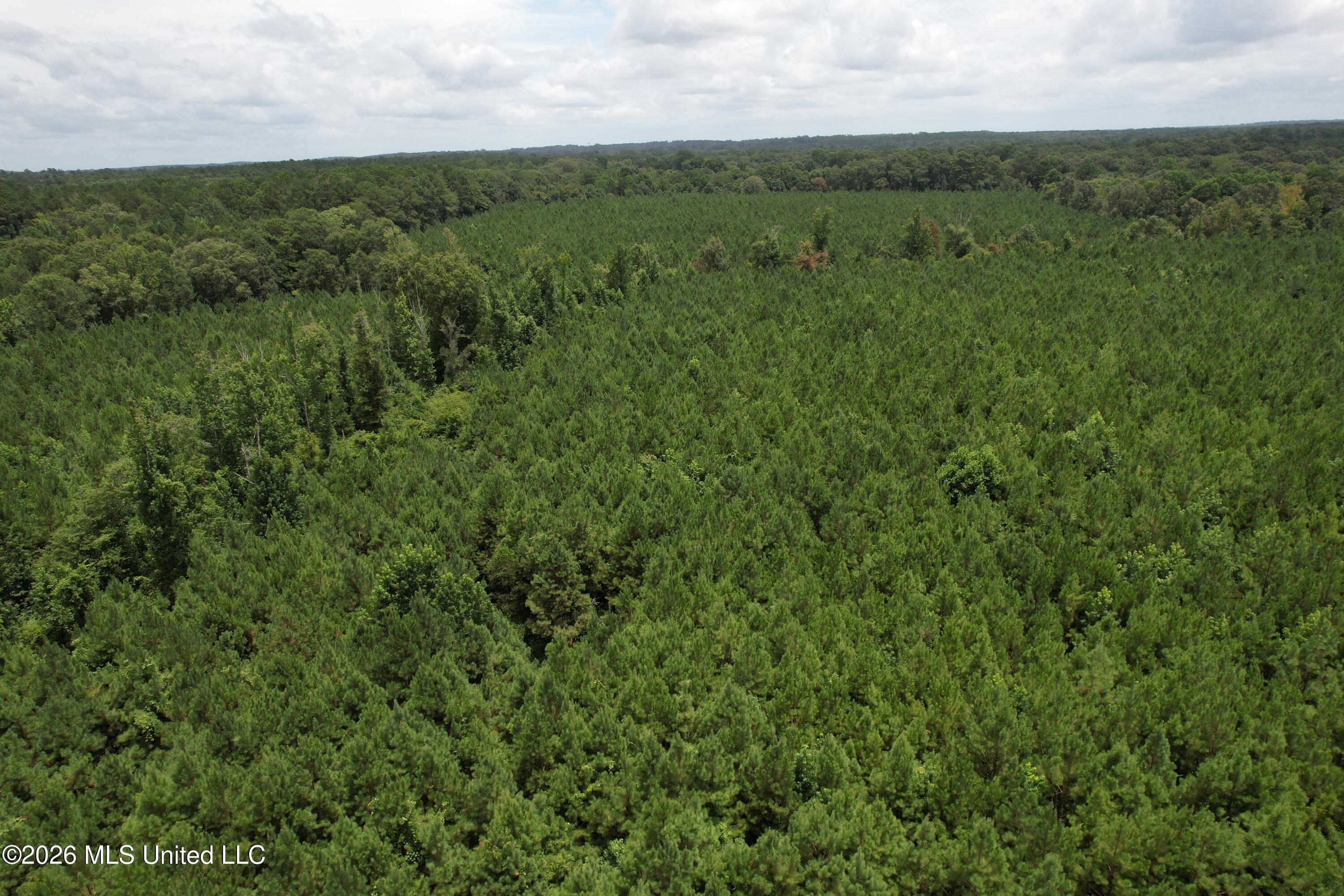 Smith County Road Property Photo 15