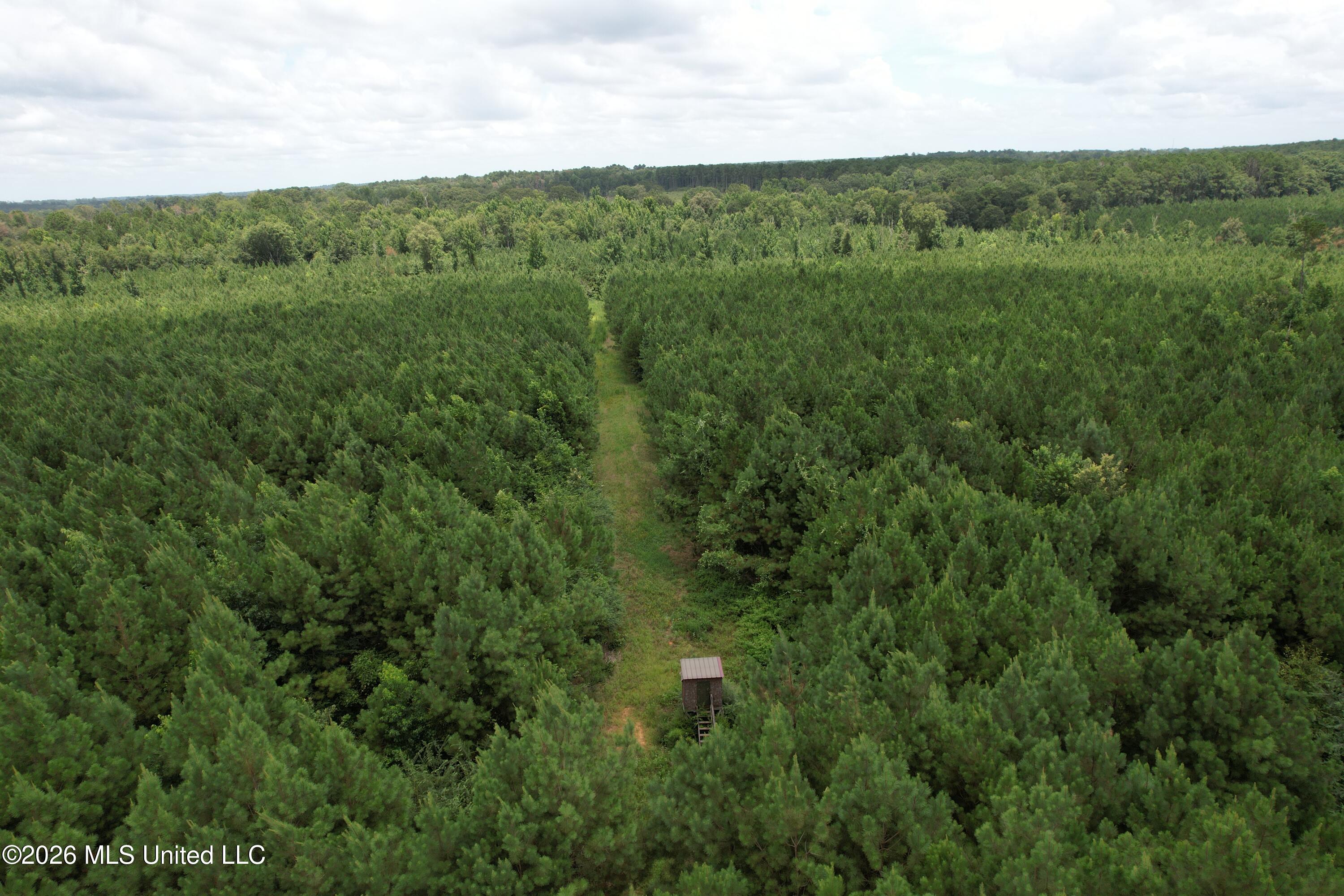 Smith County Road Property Photo 16