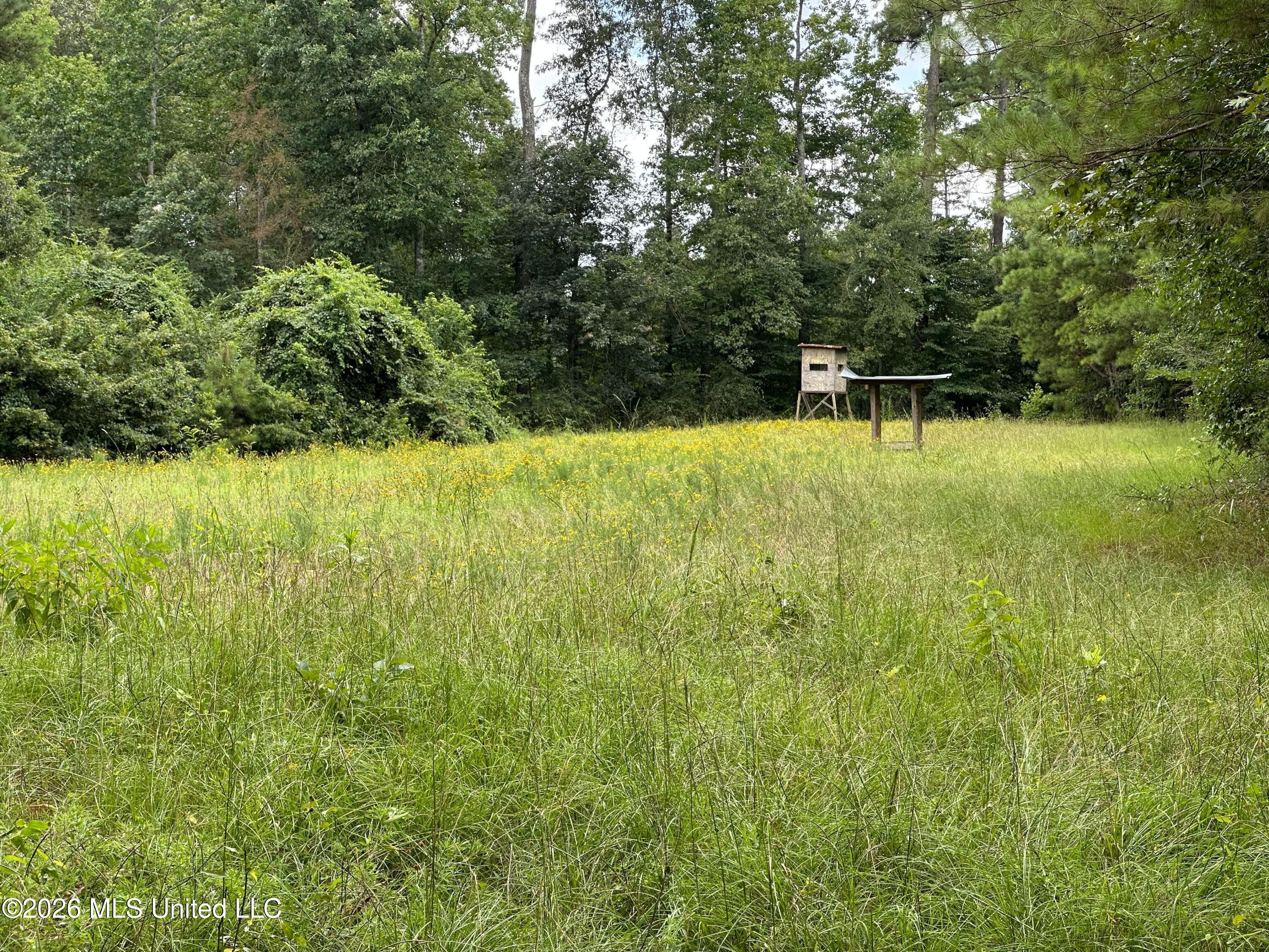 Smith County Road Property Photo 17