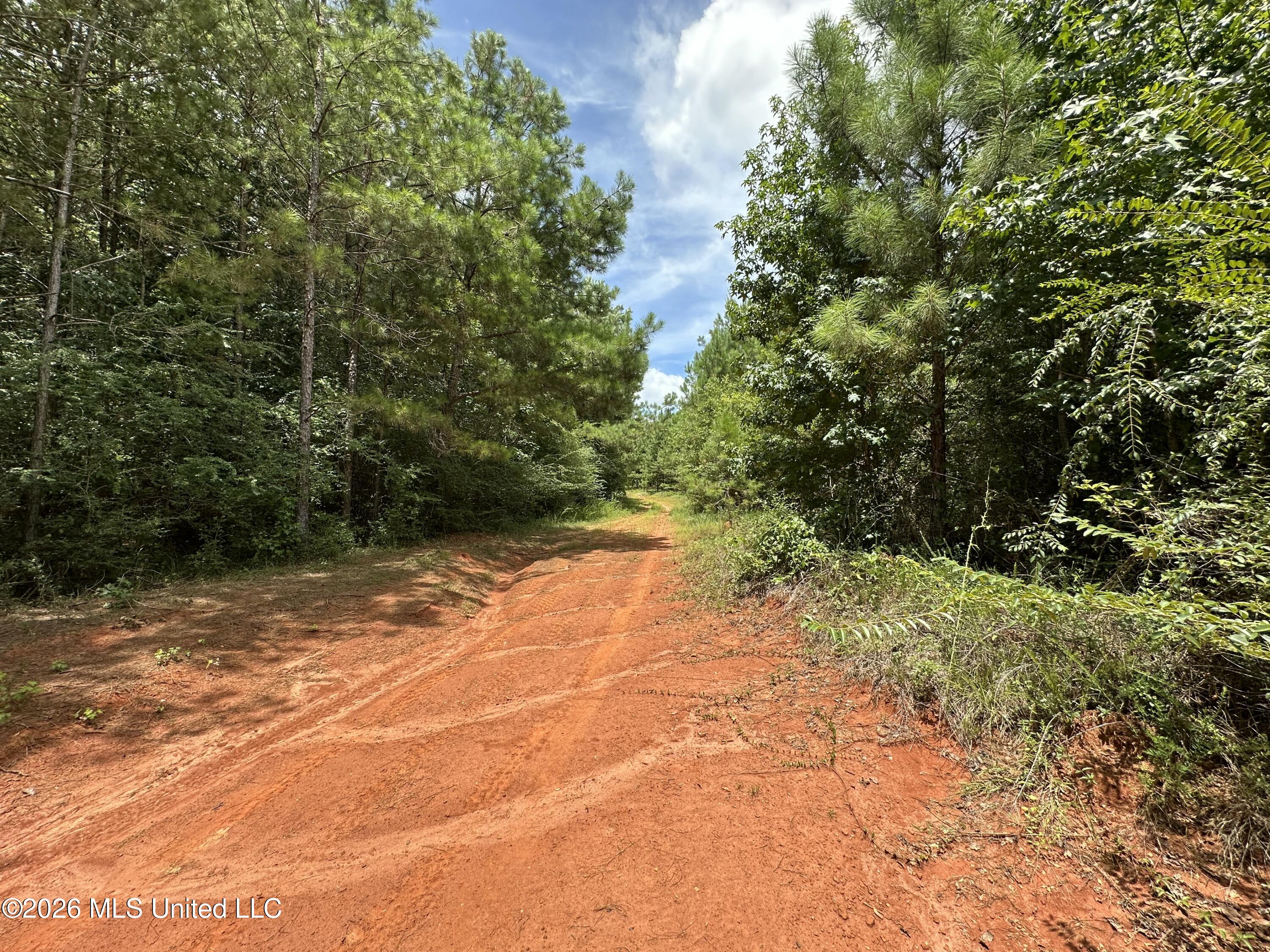 Smith County Road Property Photo 18