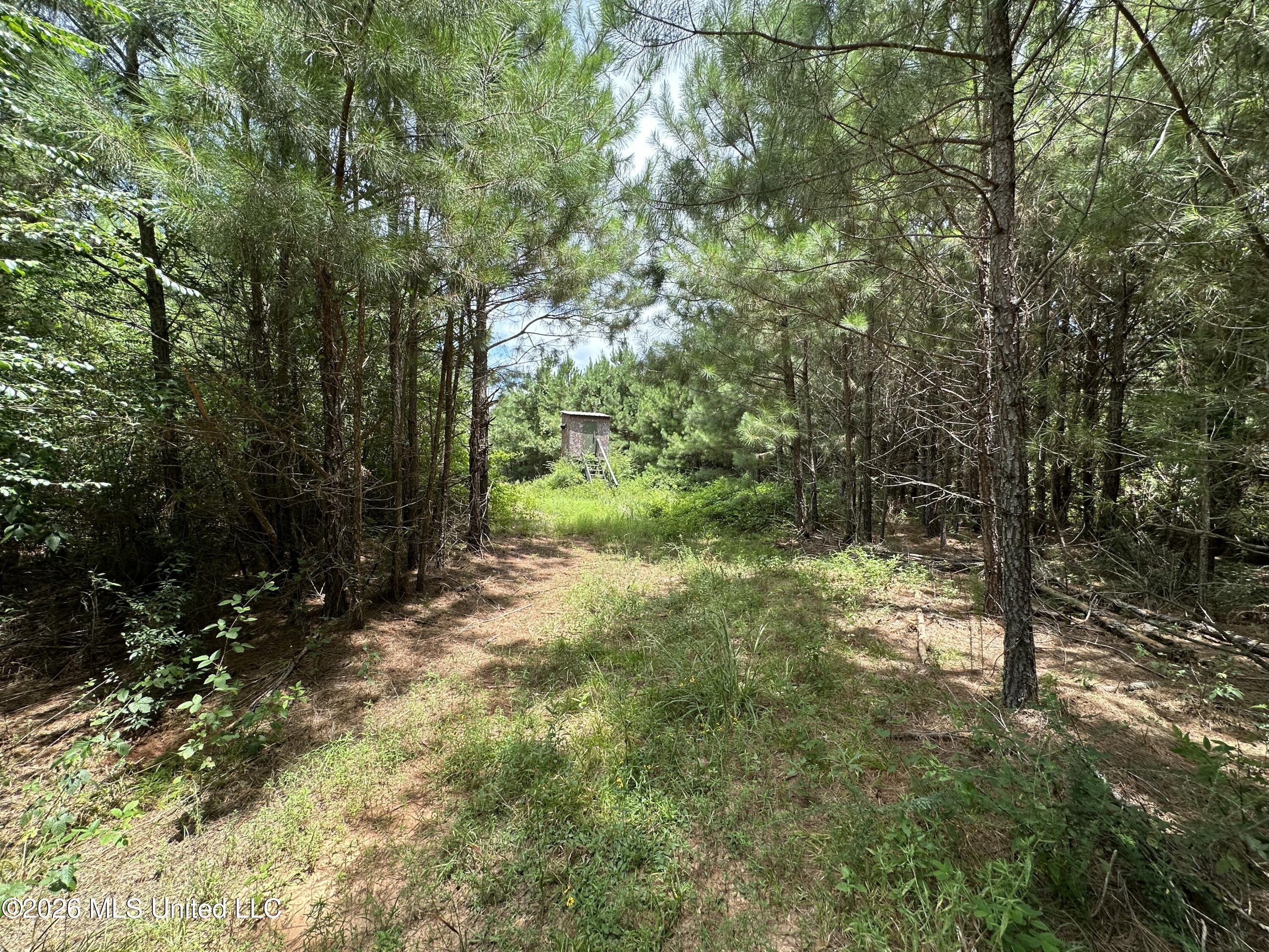 Smith County Road Property Photo 19