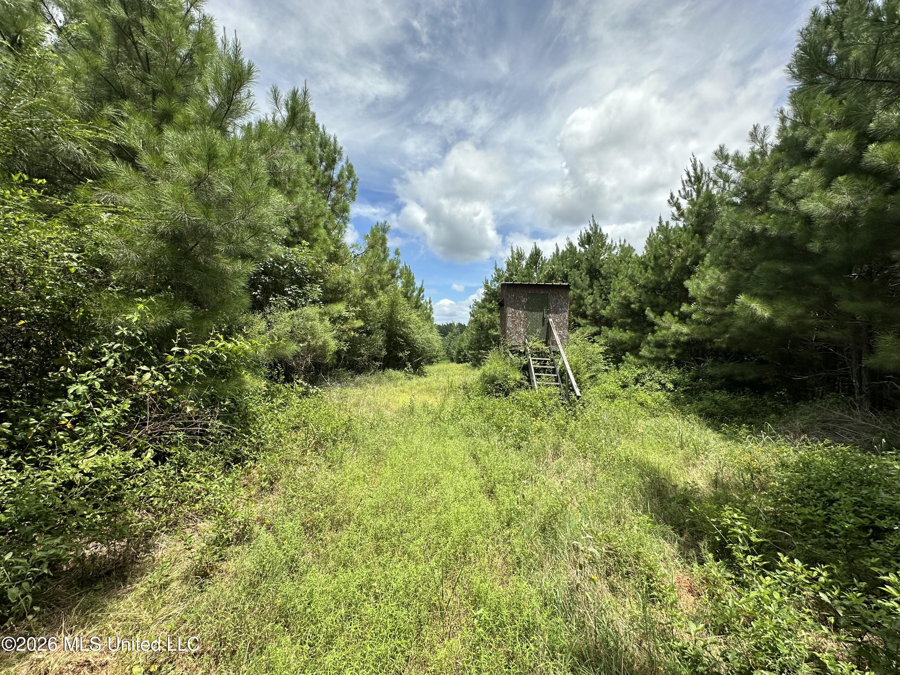 Smith County Road Property Photo 20