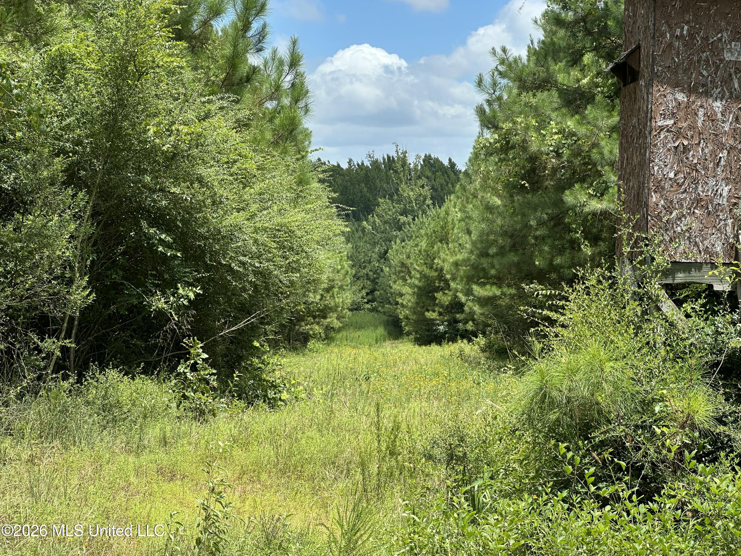 Smith County Road Property Photo 21