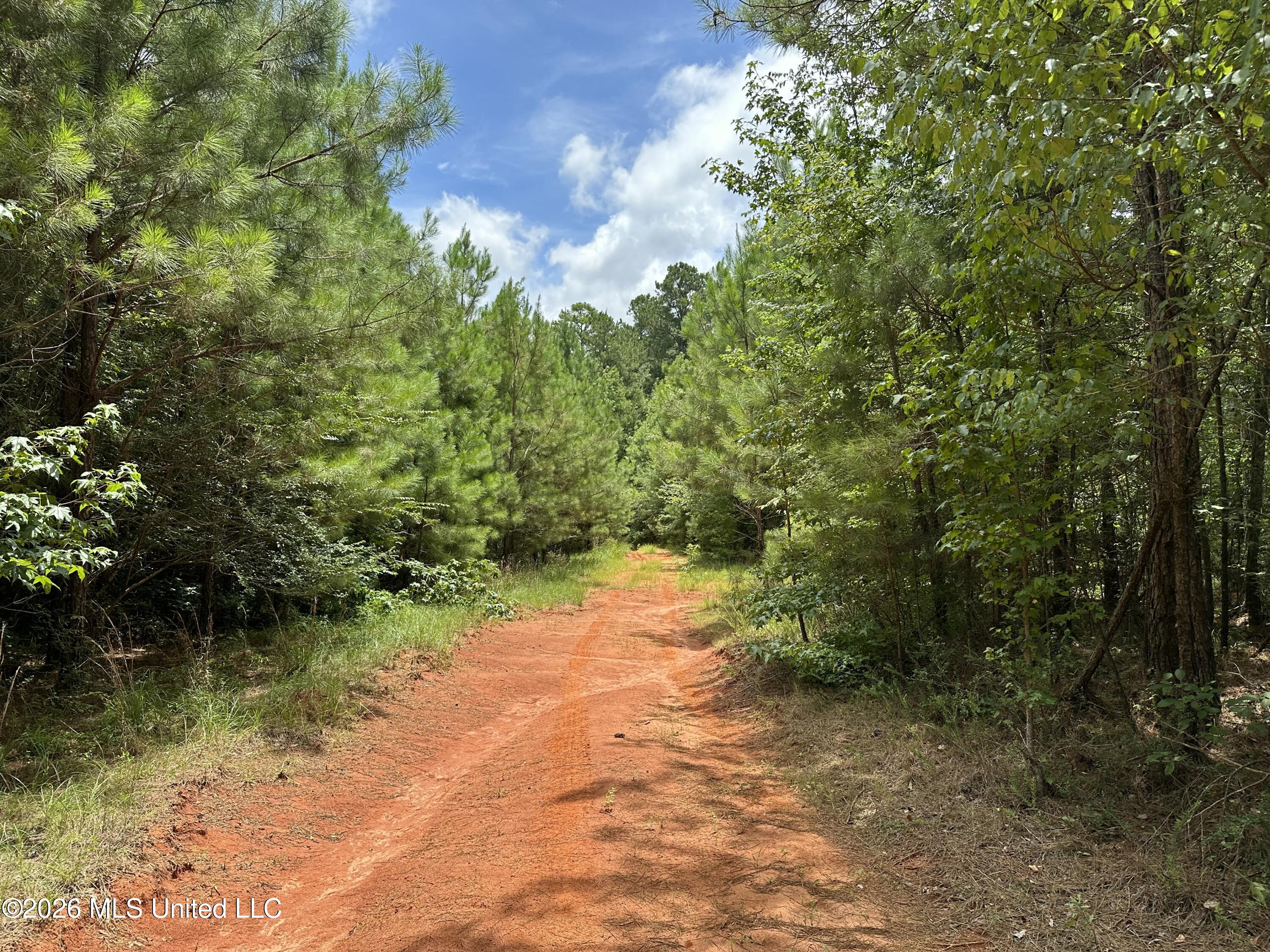 Smith County Road Property Photo 23