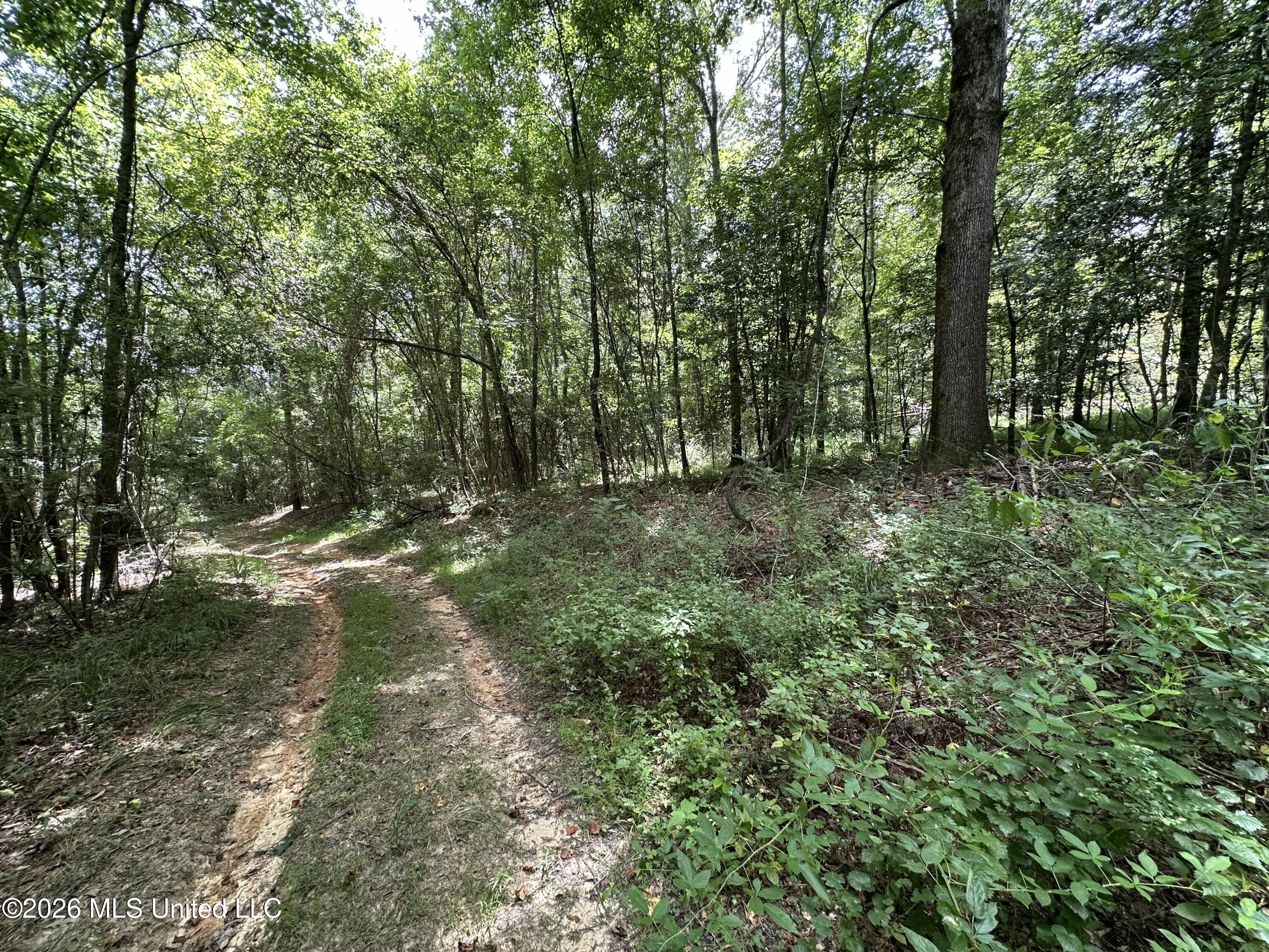 Smith County Road Property Photo 24