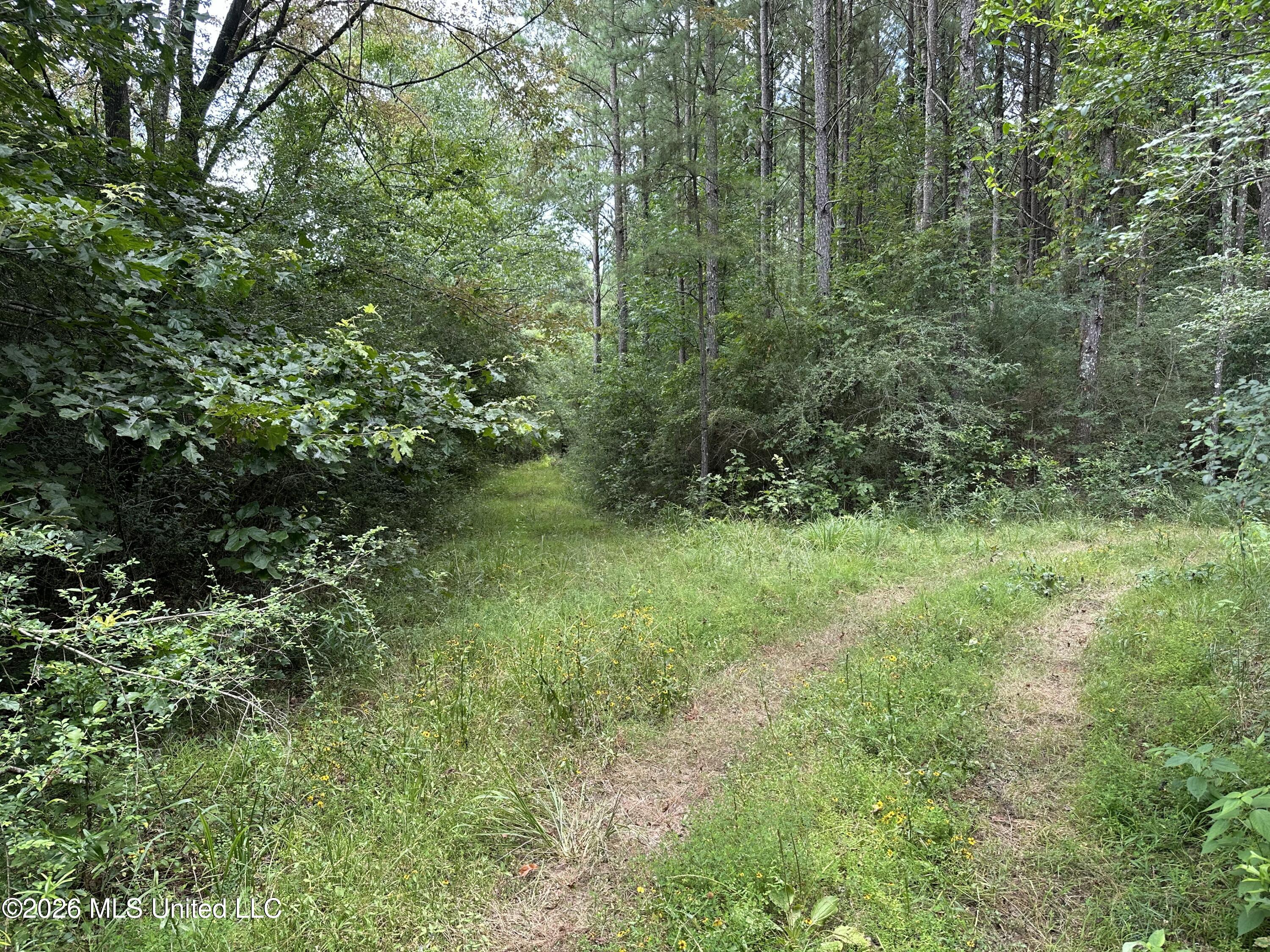 Smith County Road Property Photo 25
