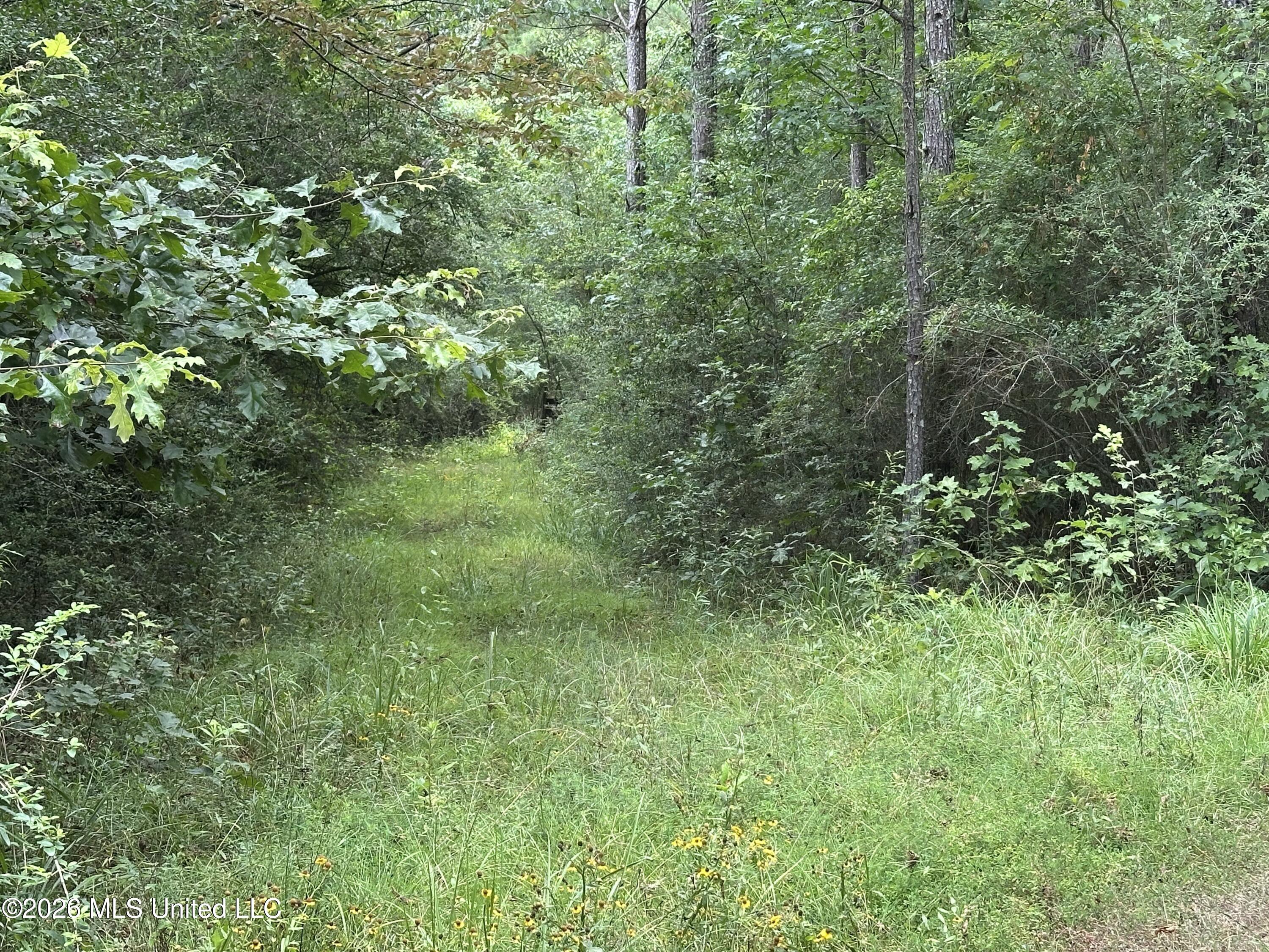 Smith County Road Property Photo 26