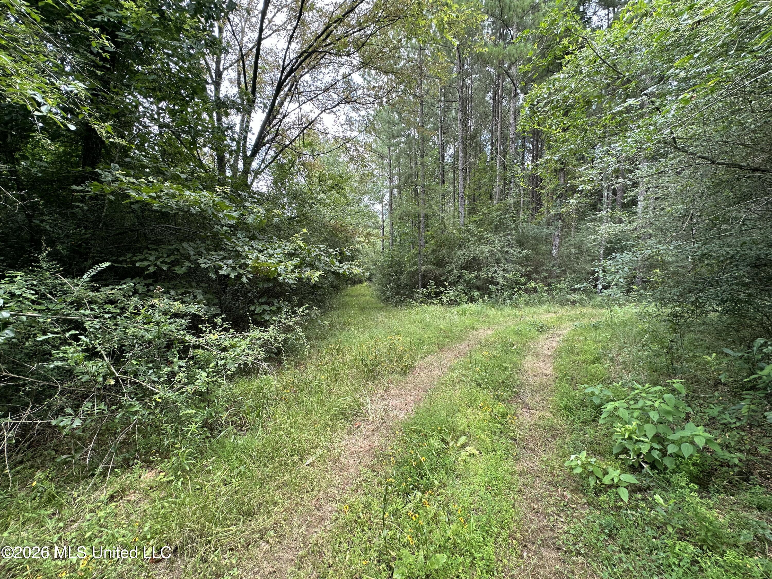 Smith County Road Property Photo 27