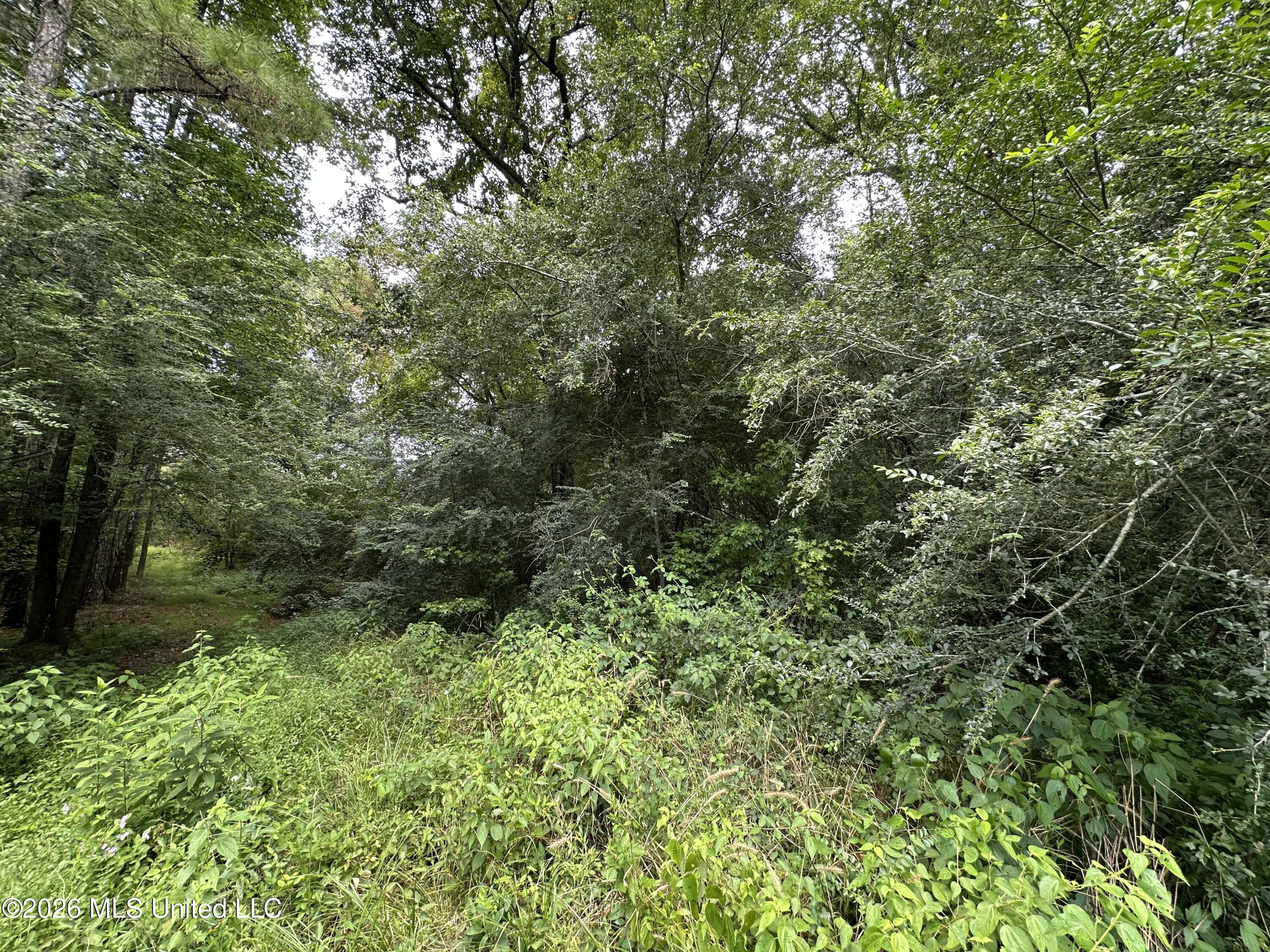 Smith County Road Property Photo 28