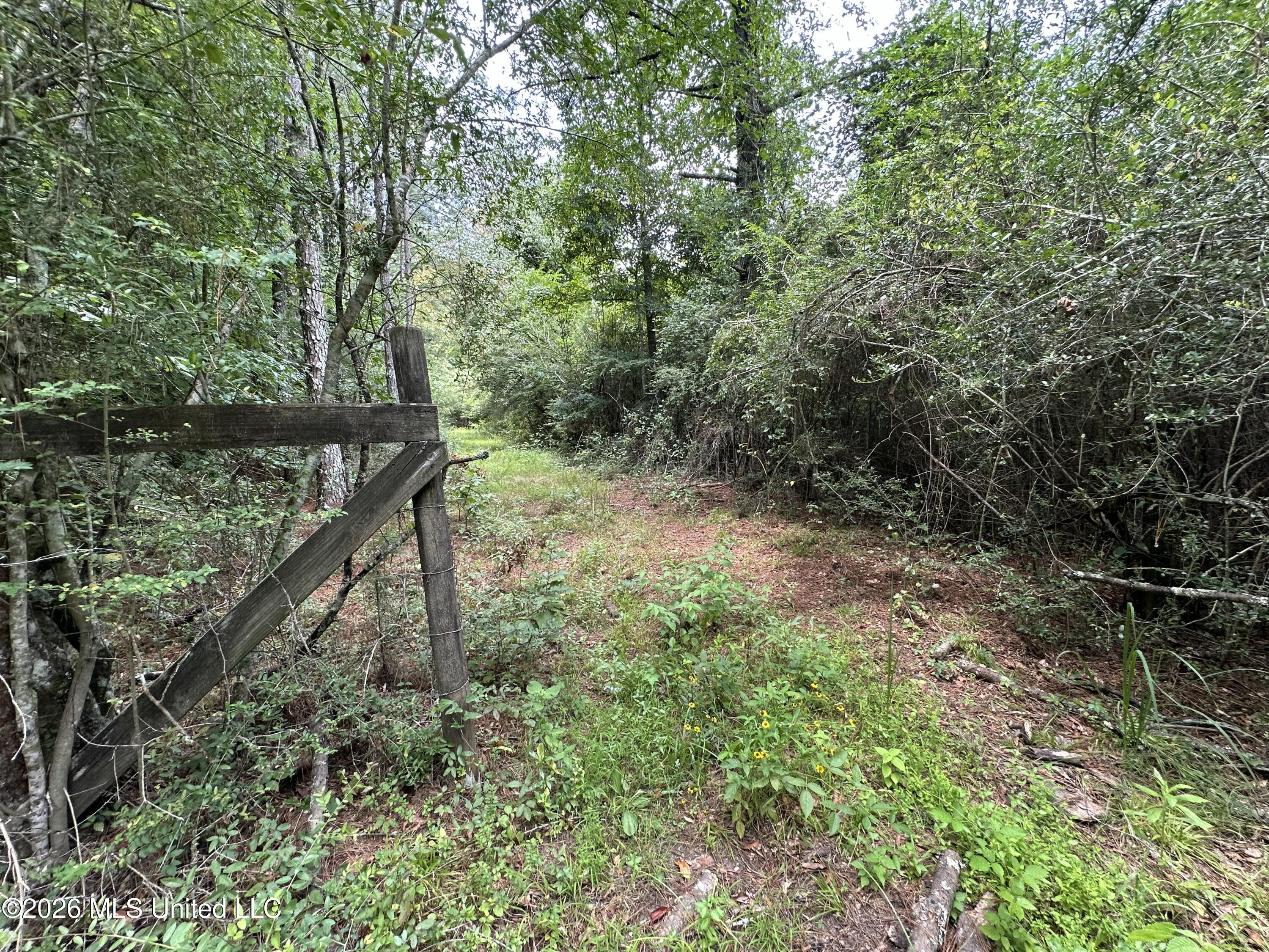 Smith County Road Property Photo 29