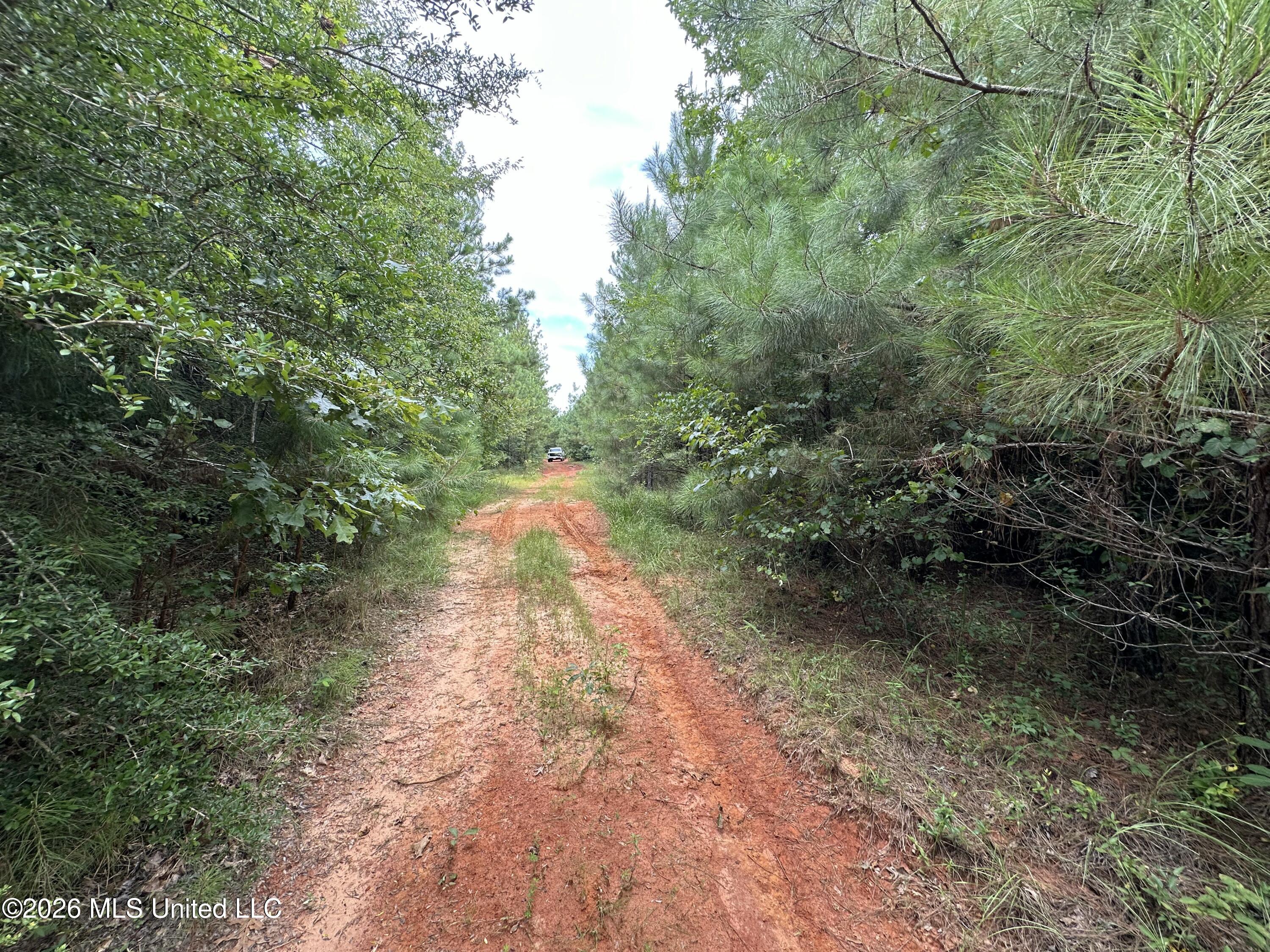Smith County Road Property Photo 30