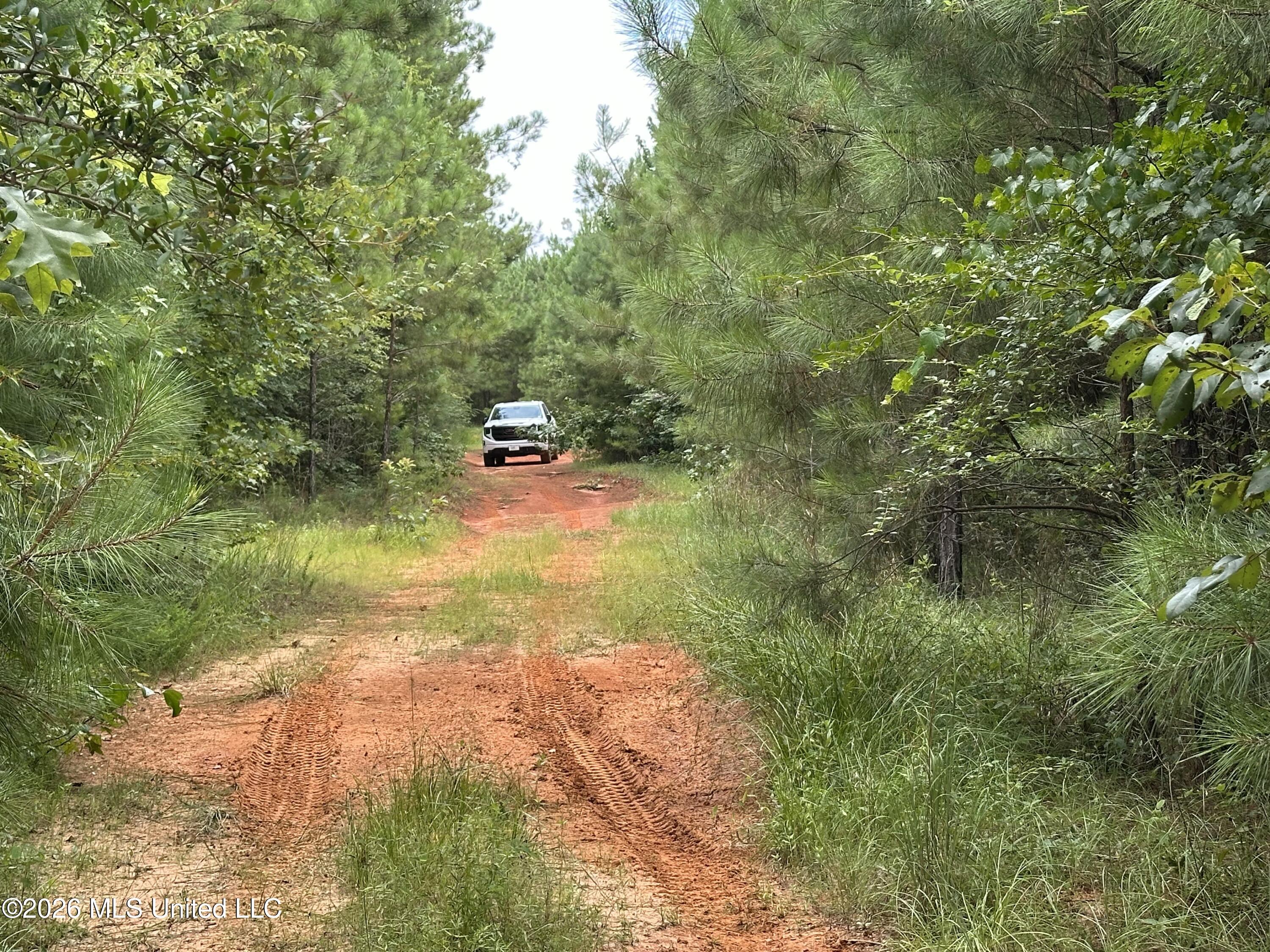 Smith County Road Property Photo 31