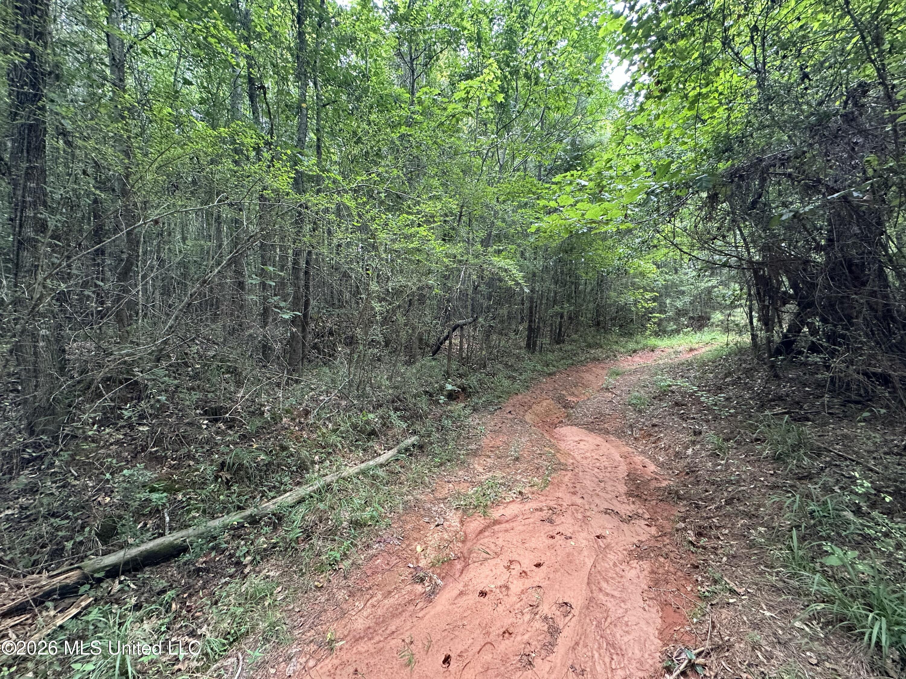 Smith County Road Property Photo 32