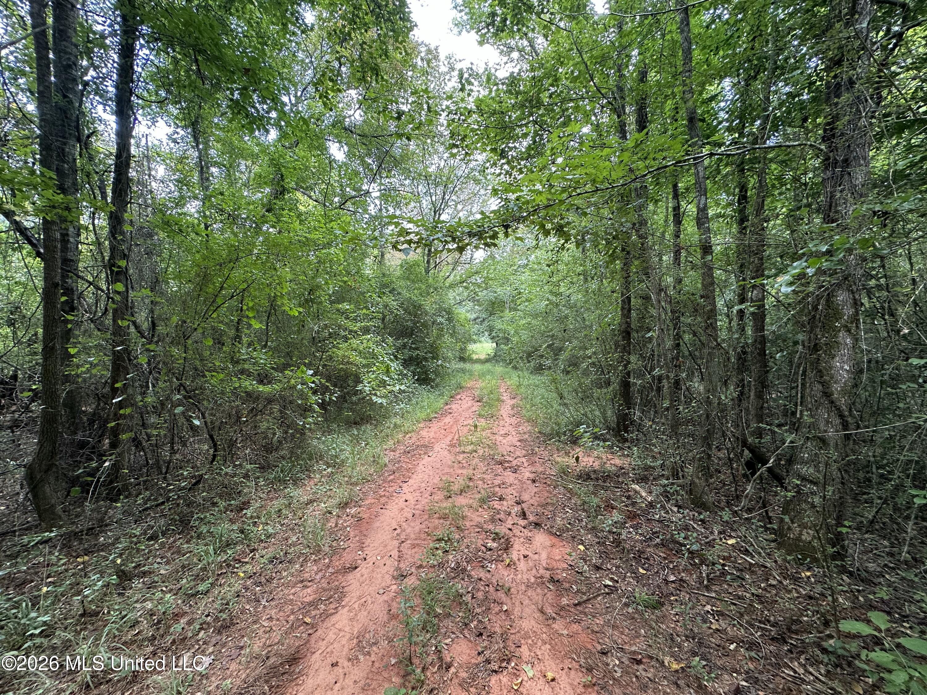 Smith County Road Property Photo 33