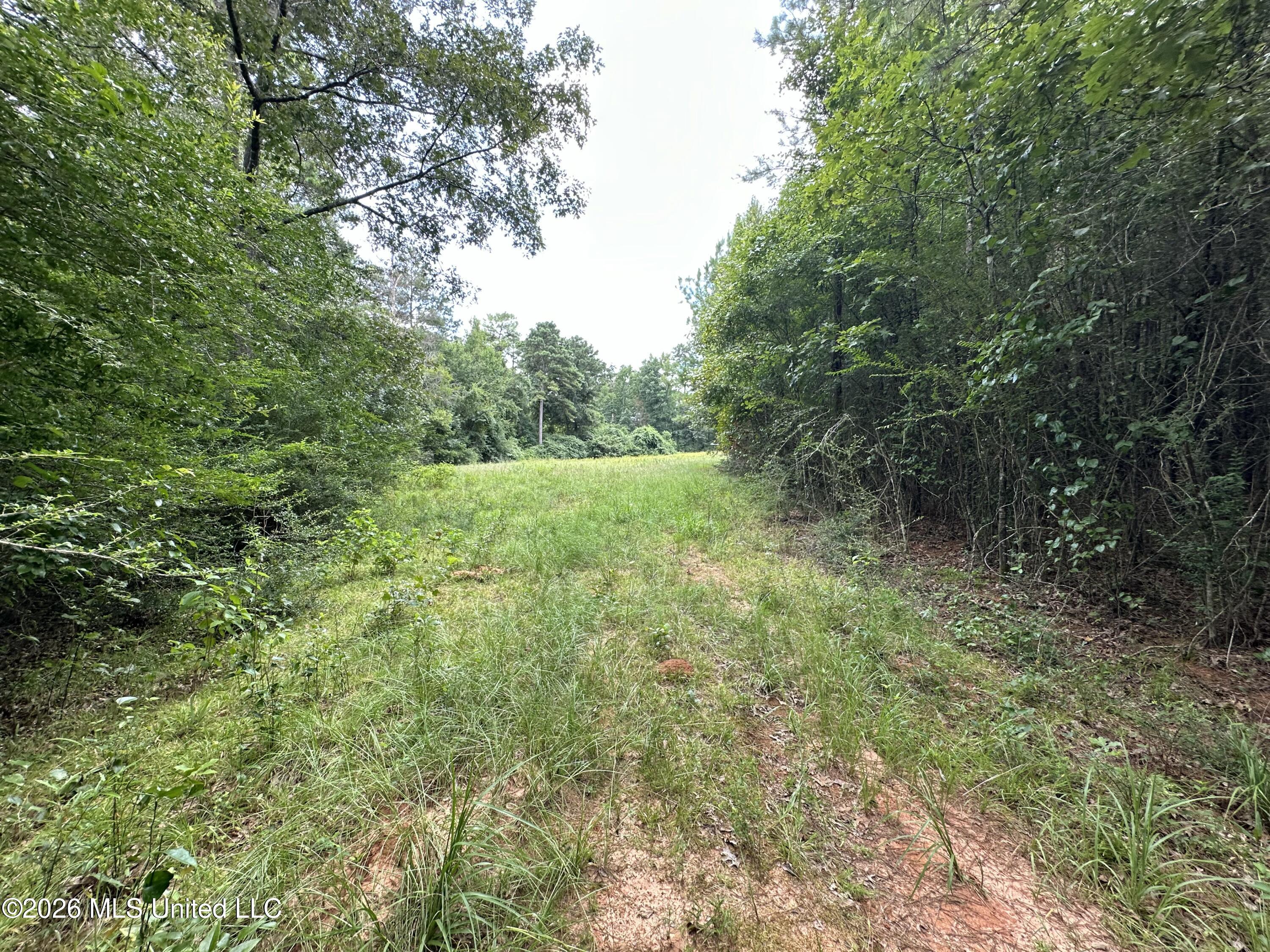 Smith County Road Property Photo 34