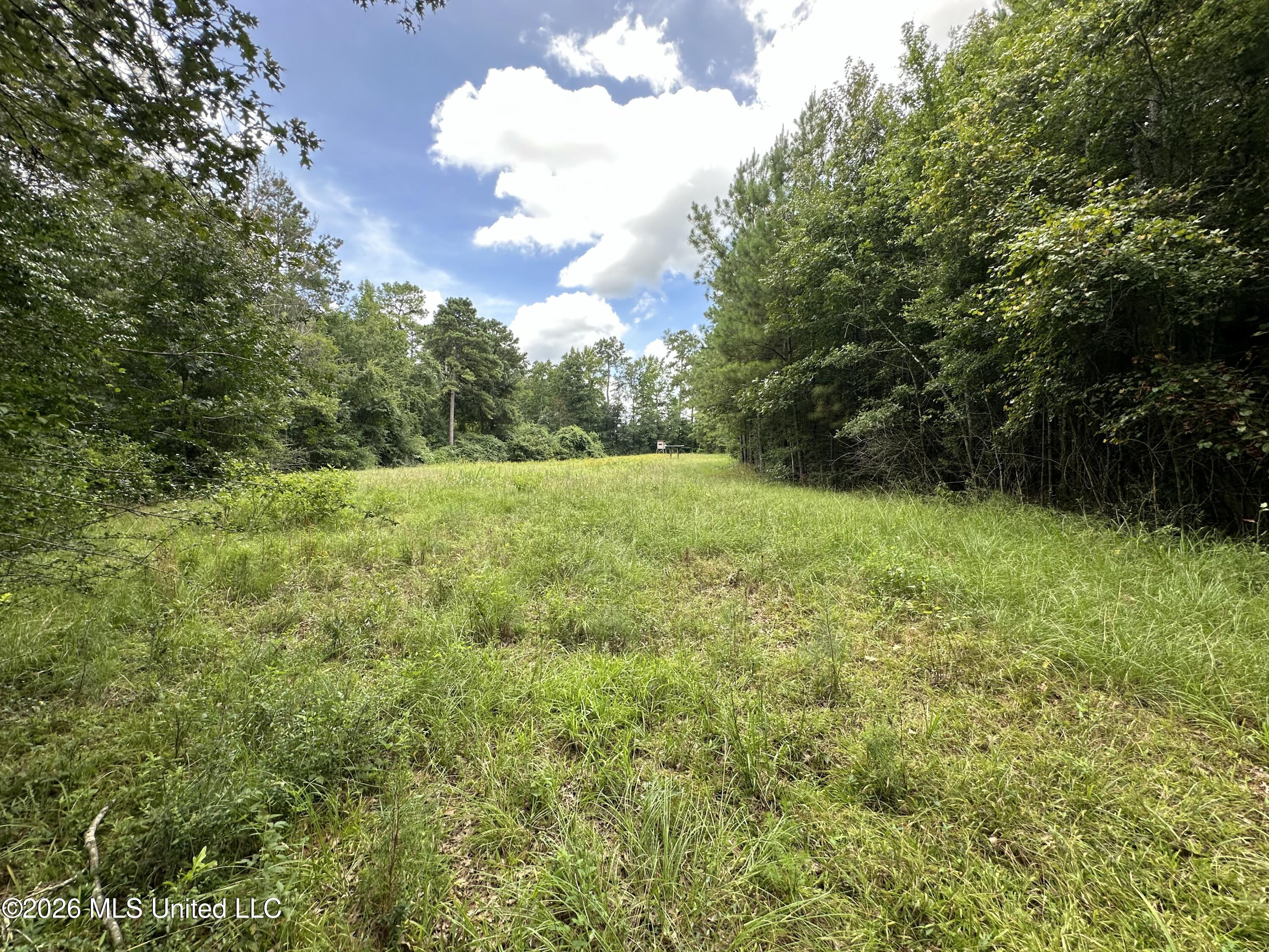 Smith County Road Property Photo 35