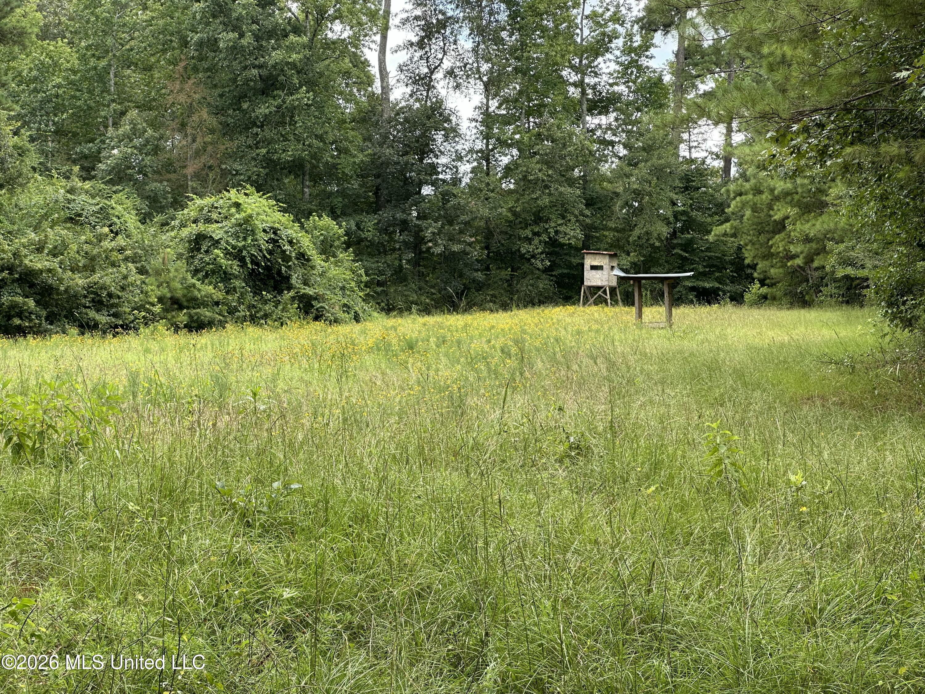 Smith County Road Property Photo 36