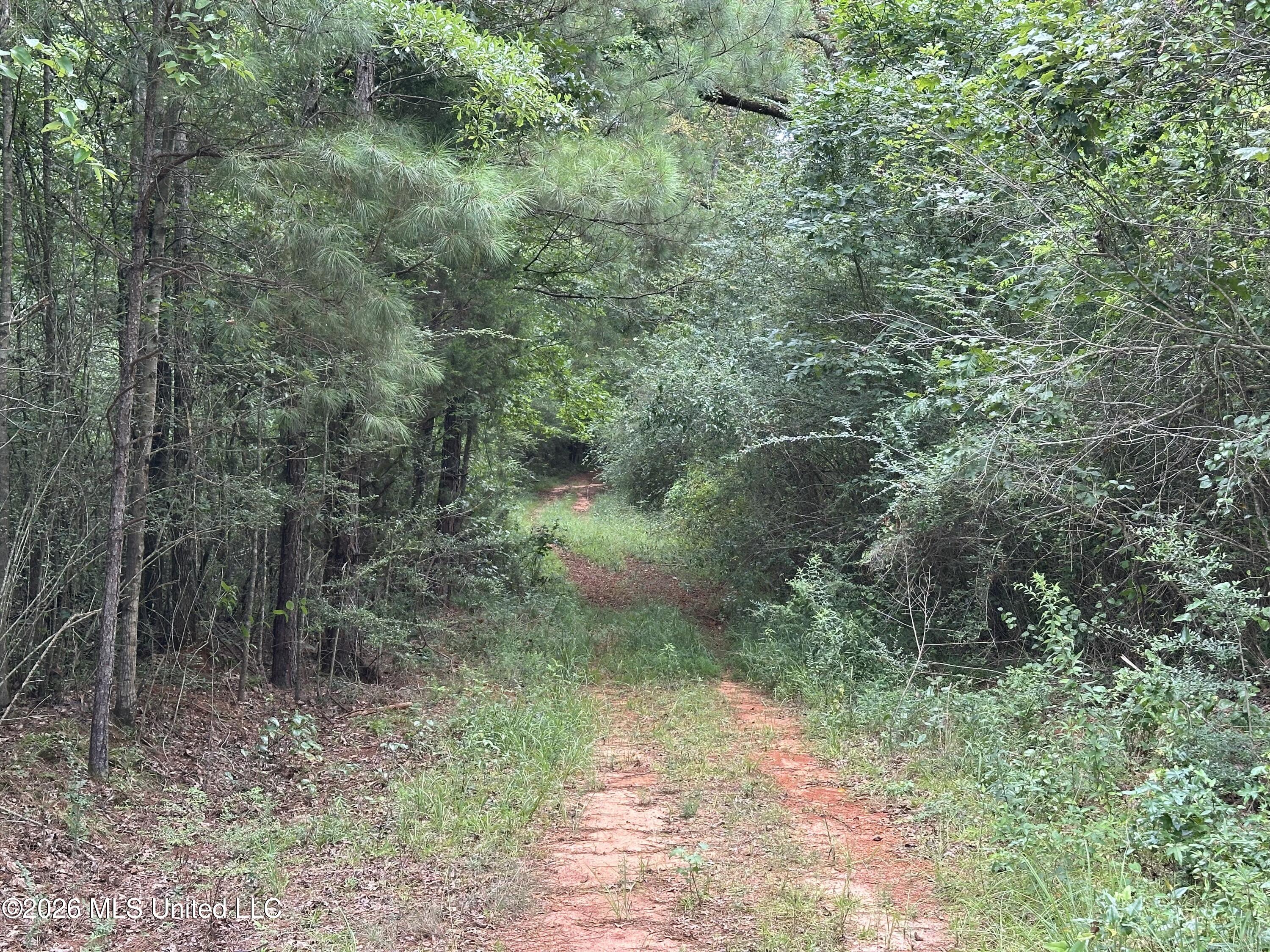 Smith County Road Property Photo 37